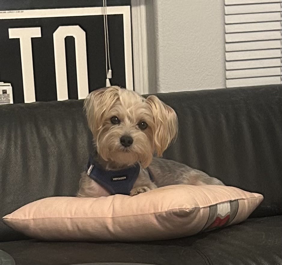Archie