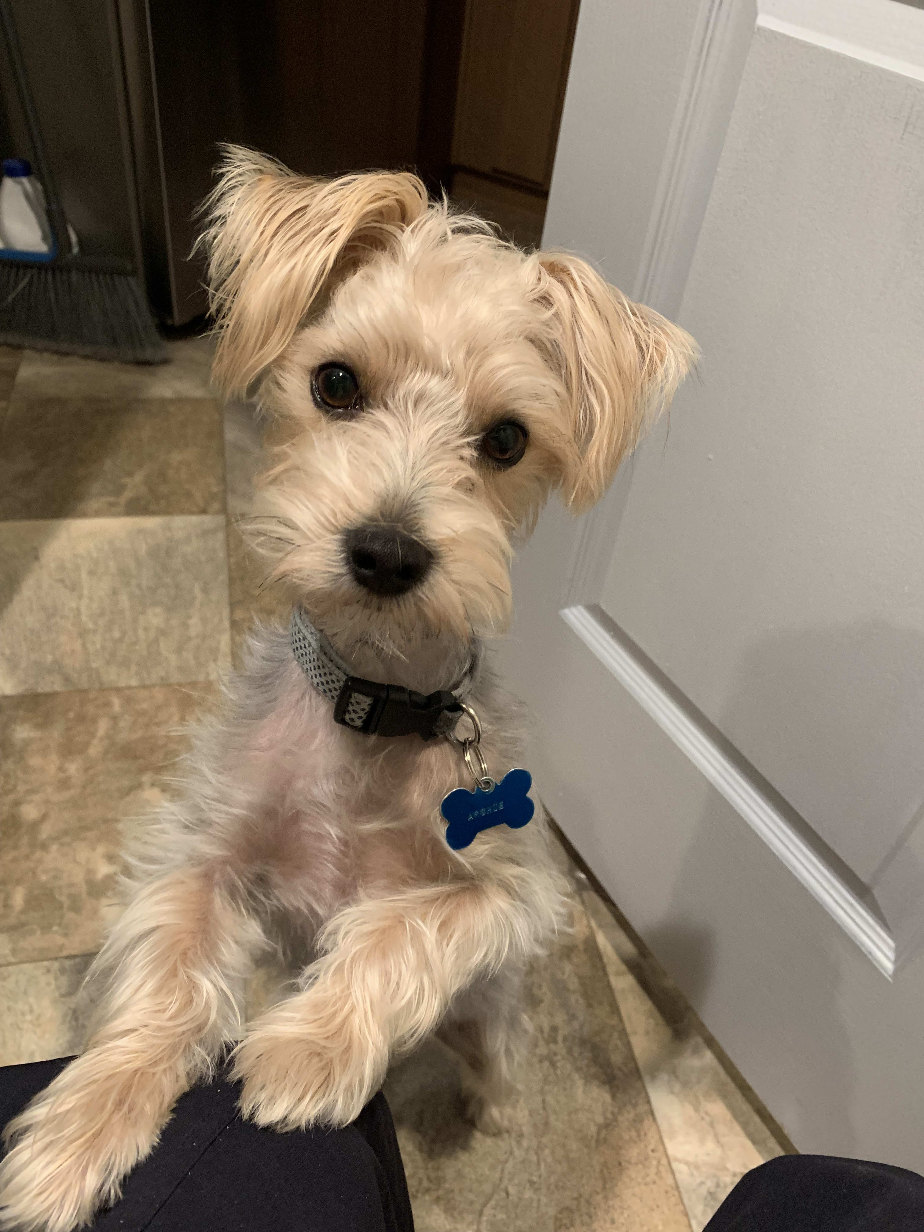 Archie