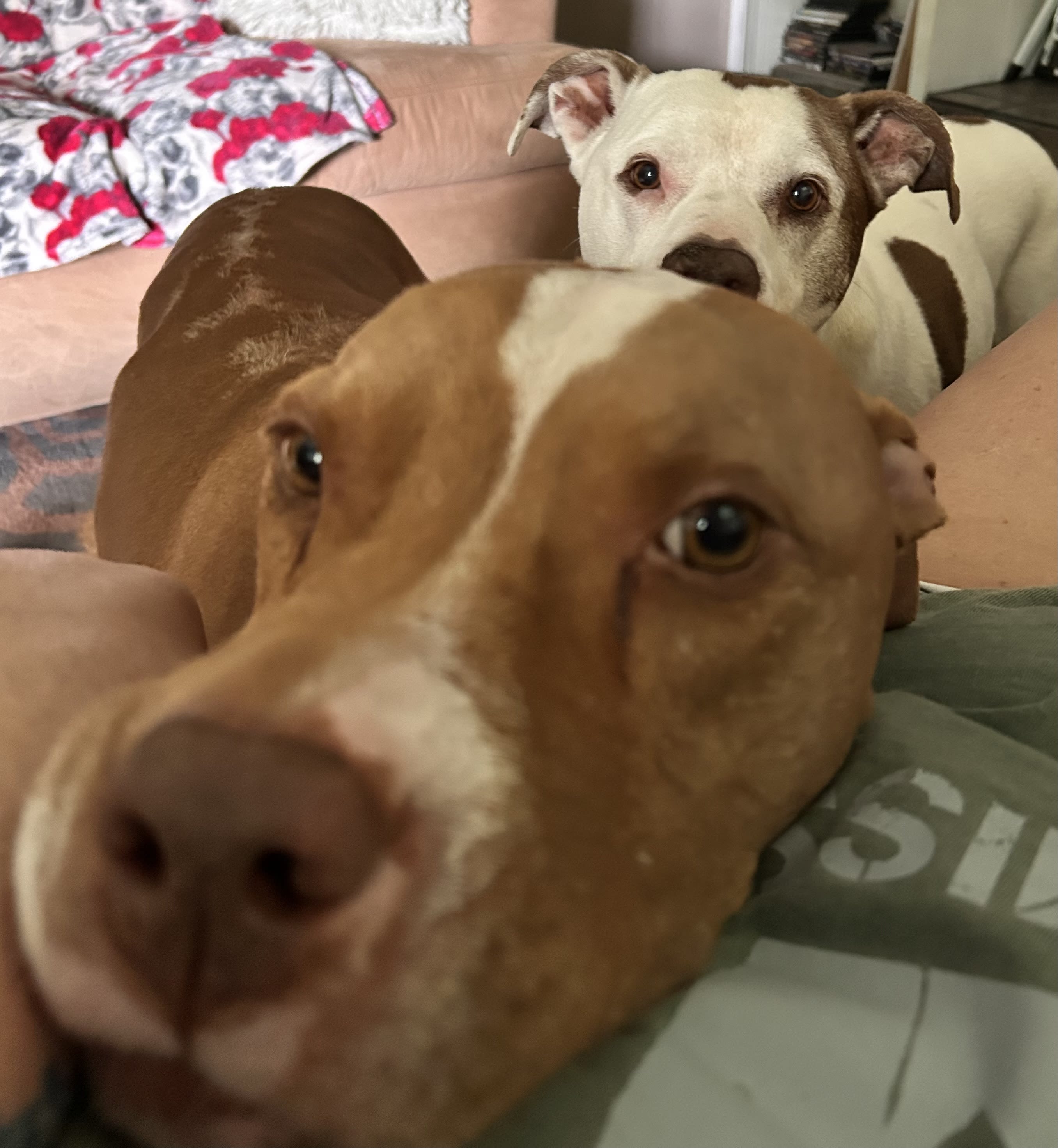 Cooper