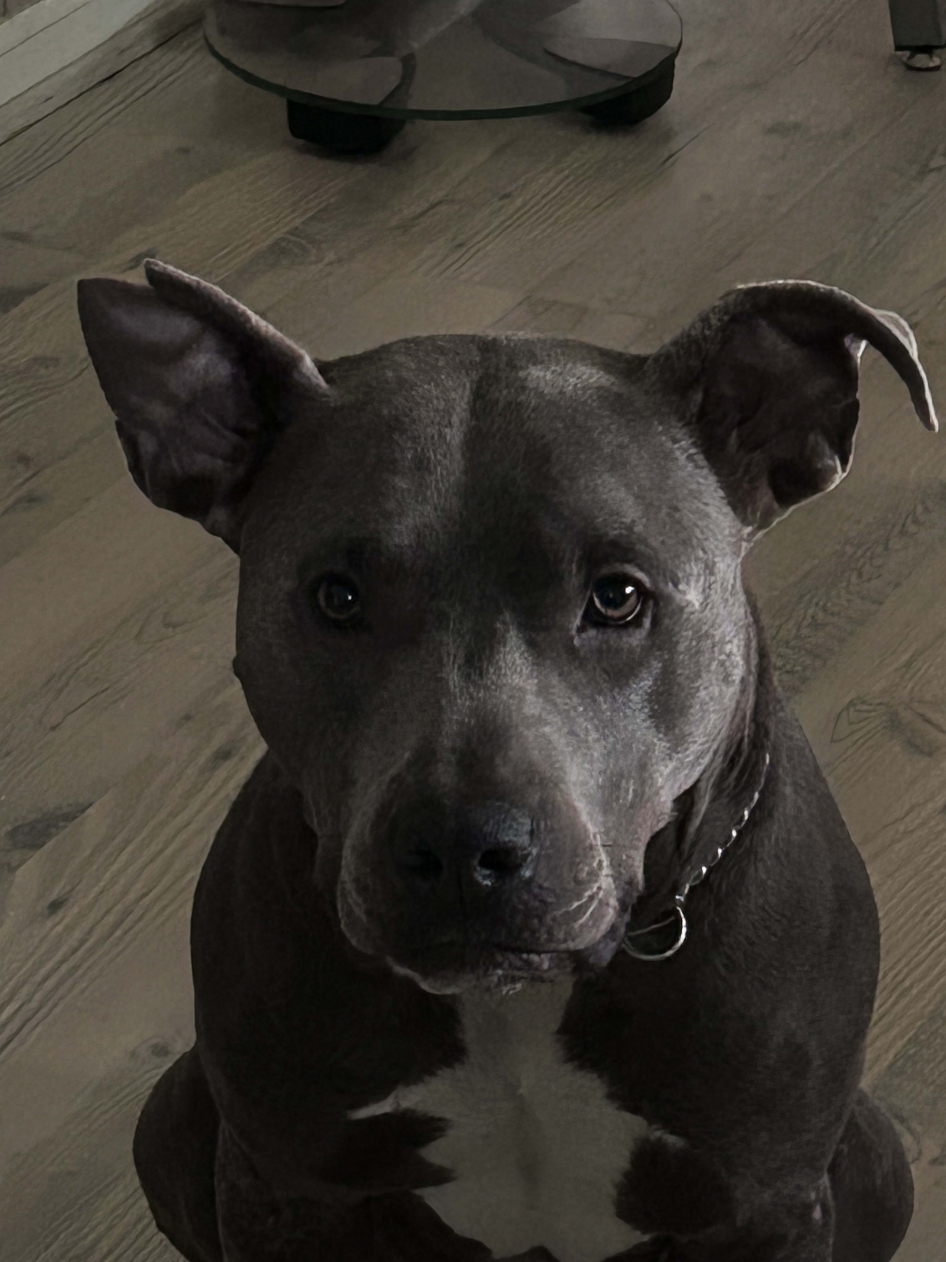 Cooper