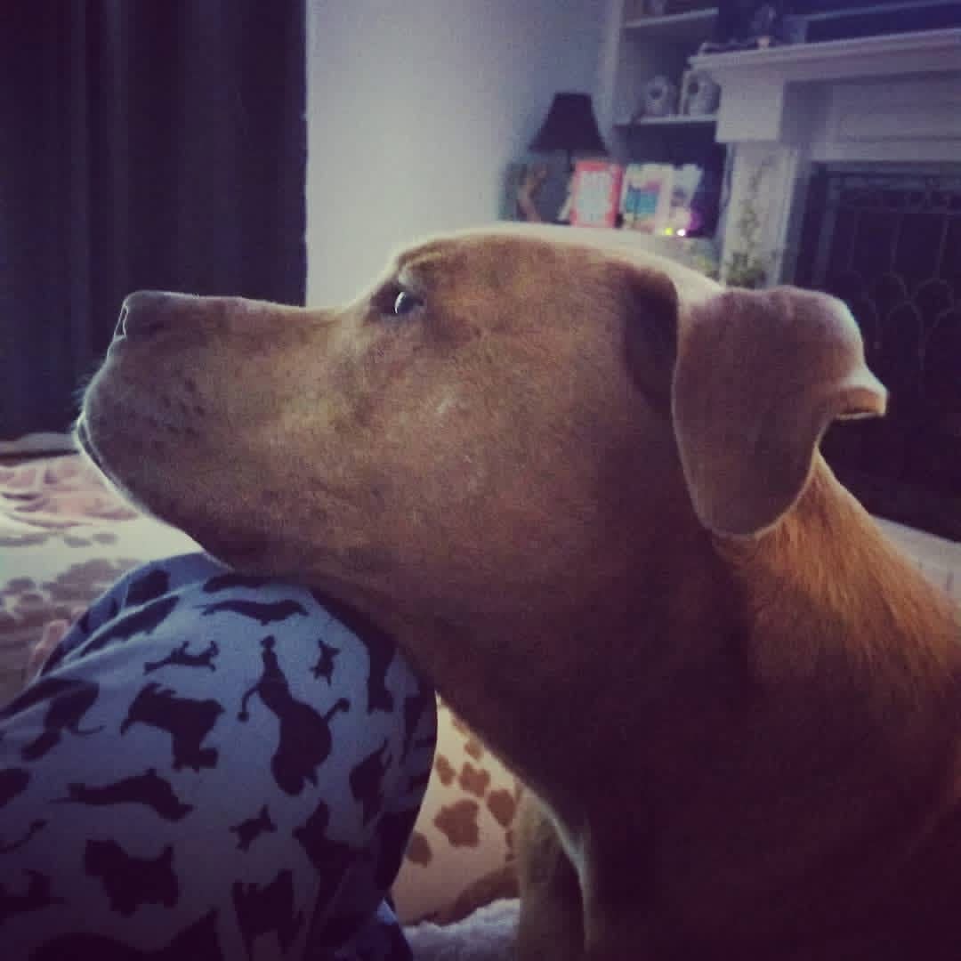 Duke