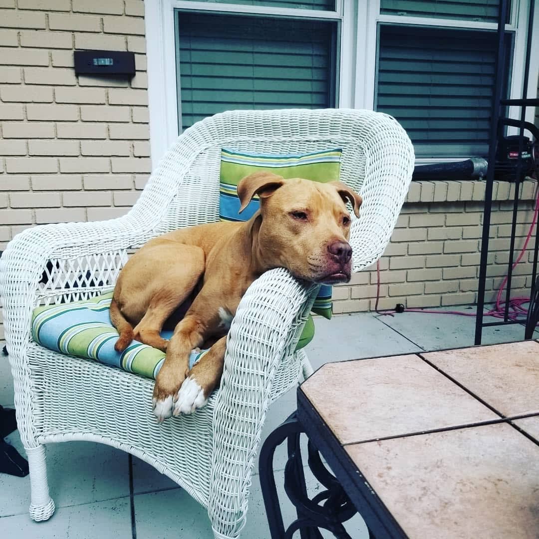 Duke
