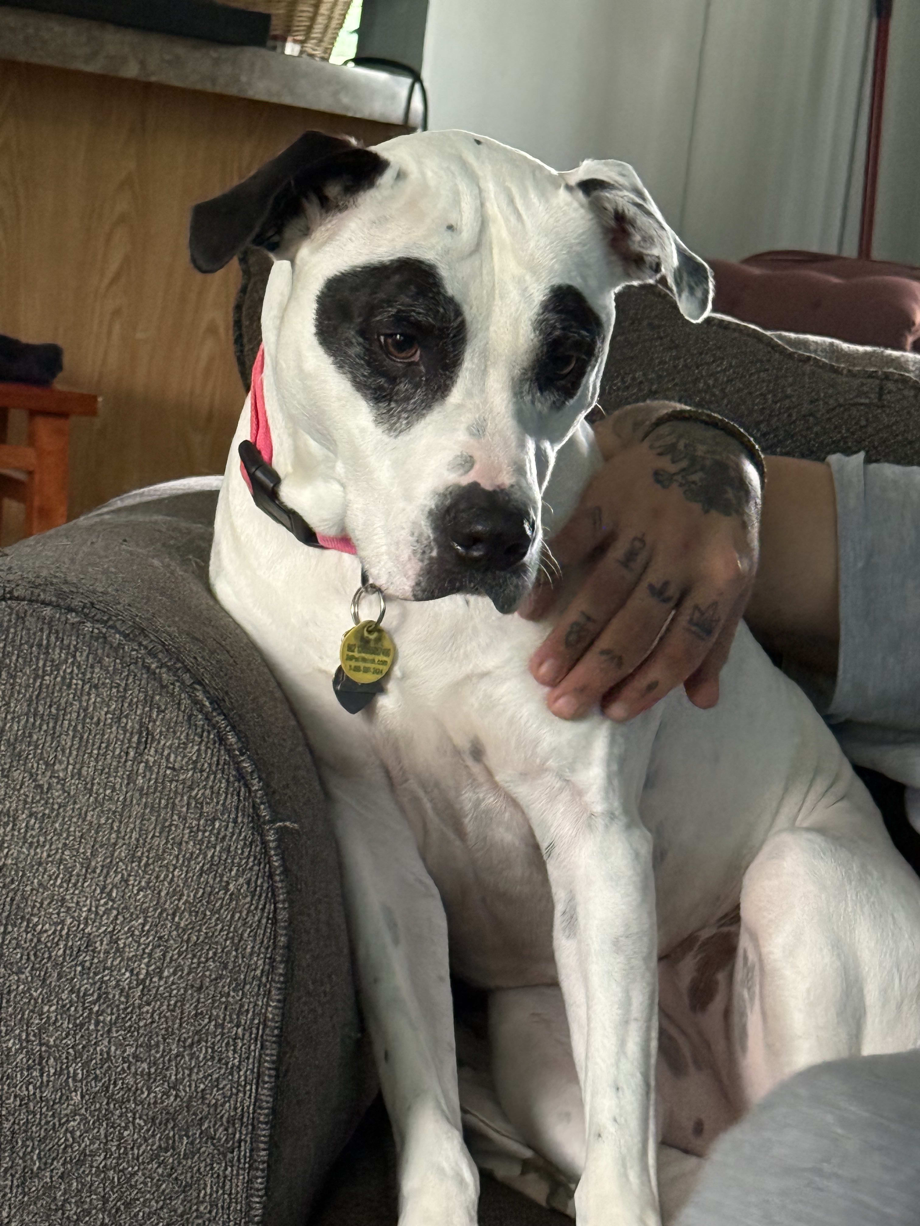 Jett