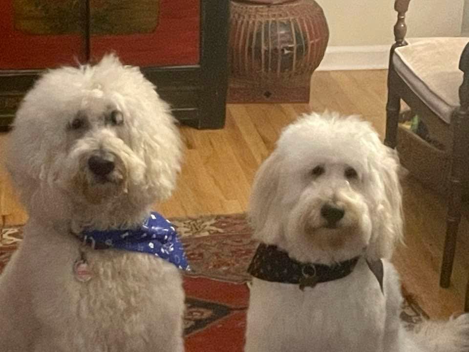 Max and Shelby
