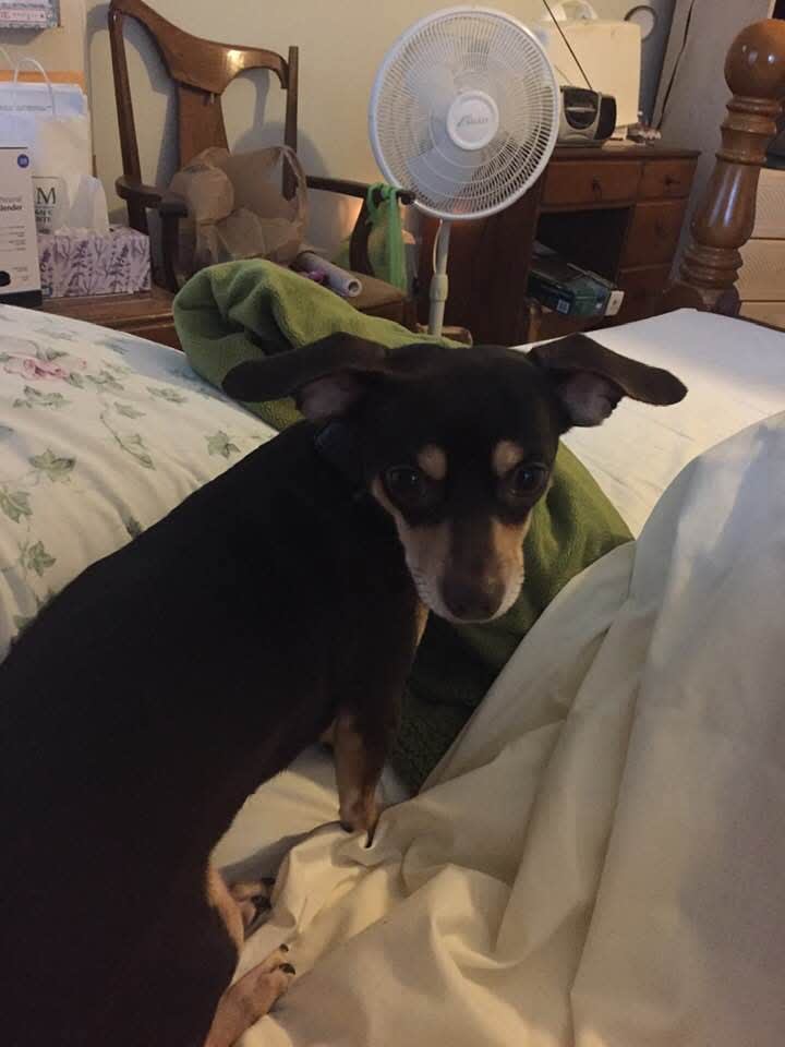 Coco