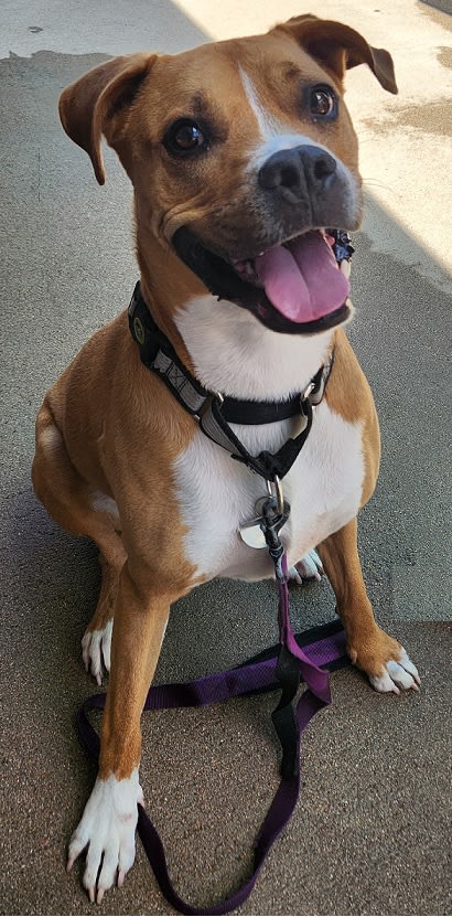 Remi