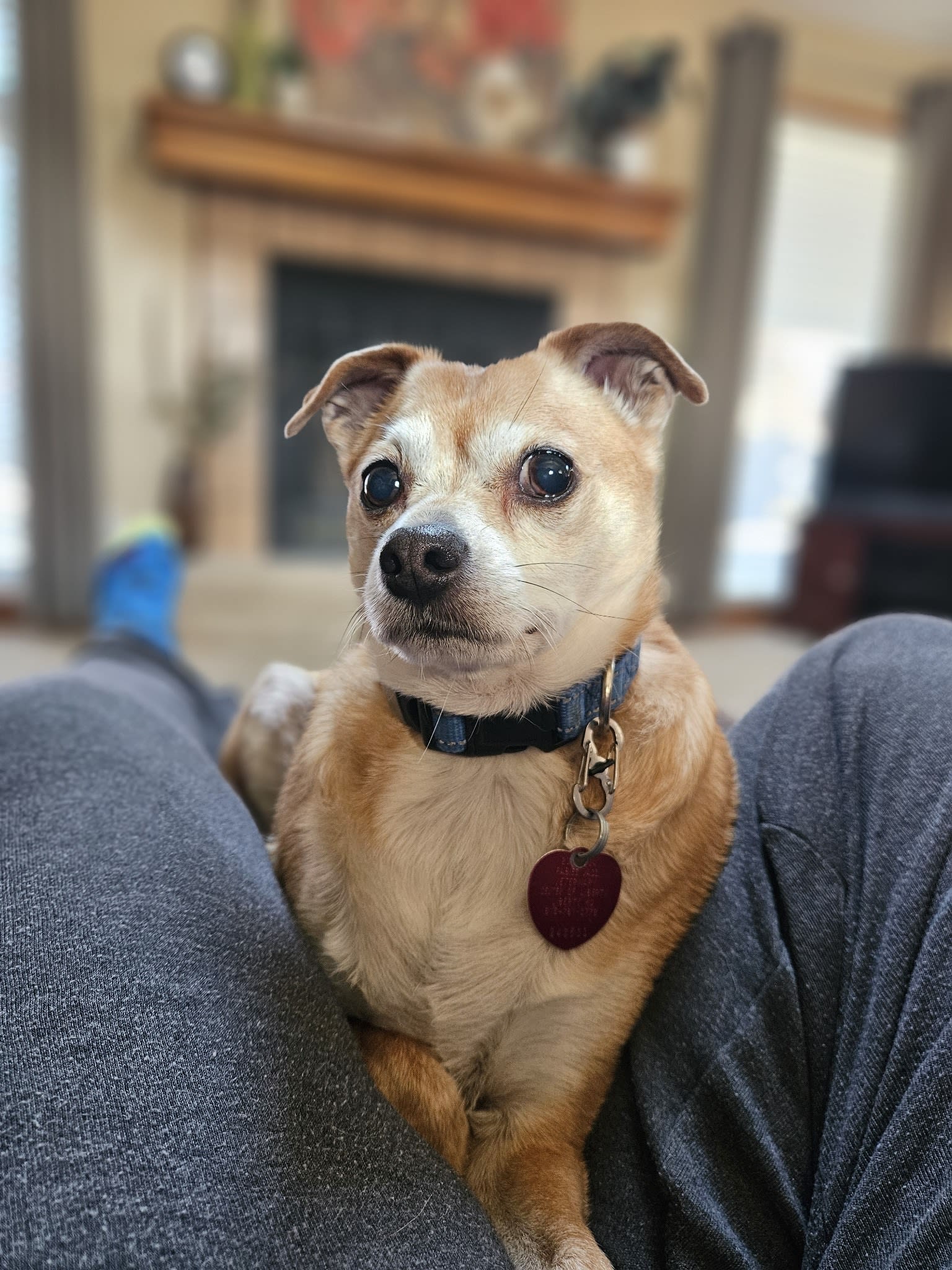 Maggie