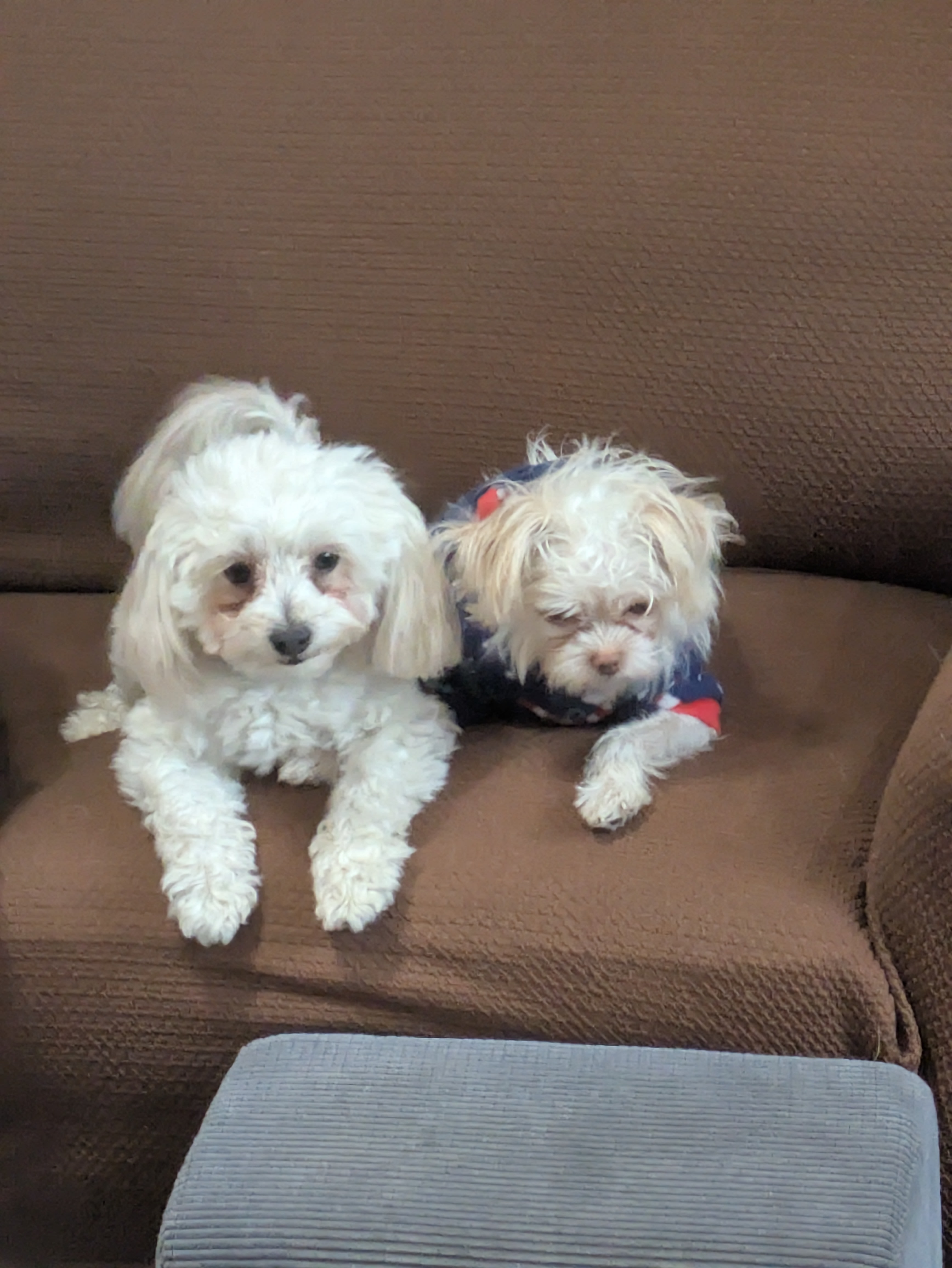 Darby and Dottie