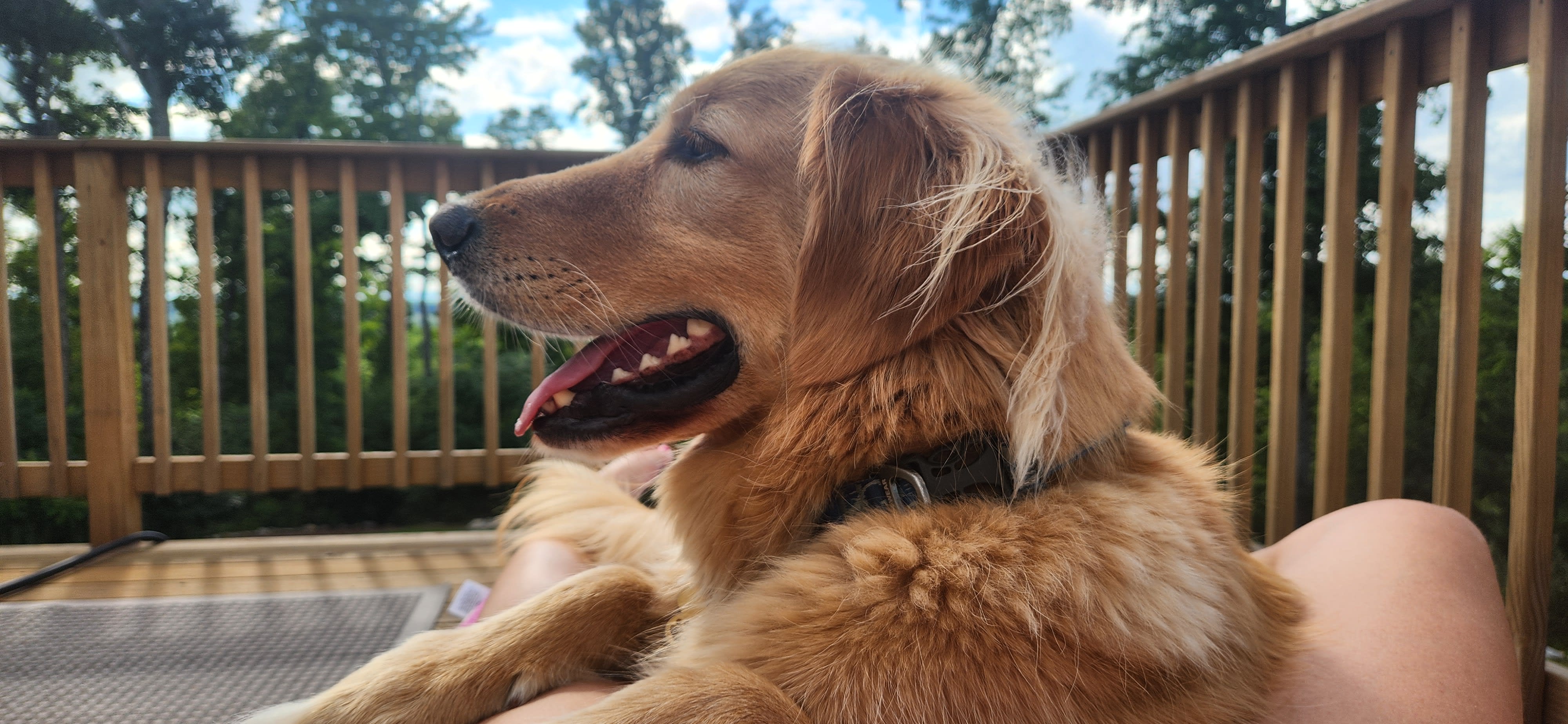 Kona and Charlie
