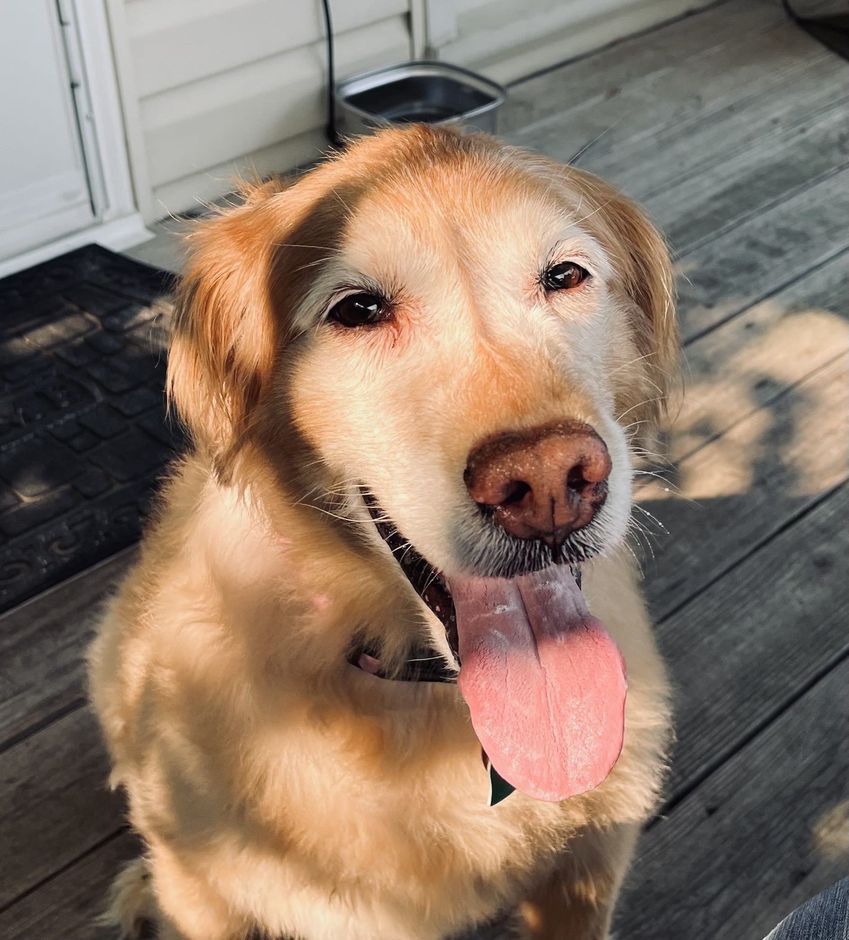 Maggie
