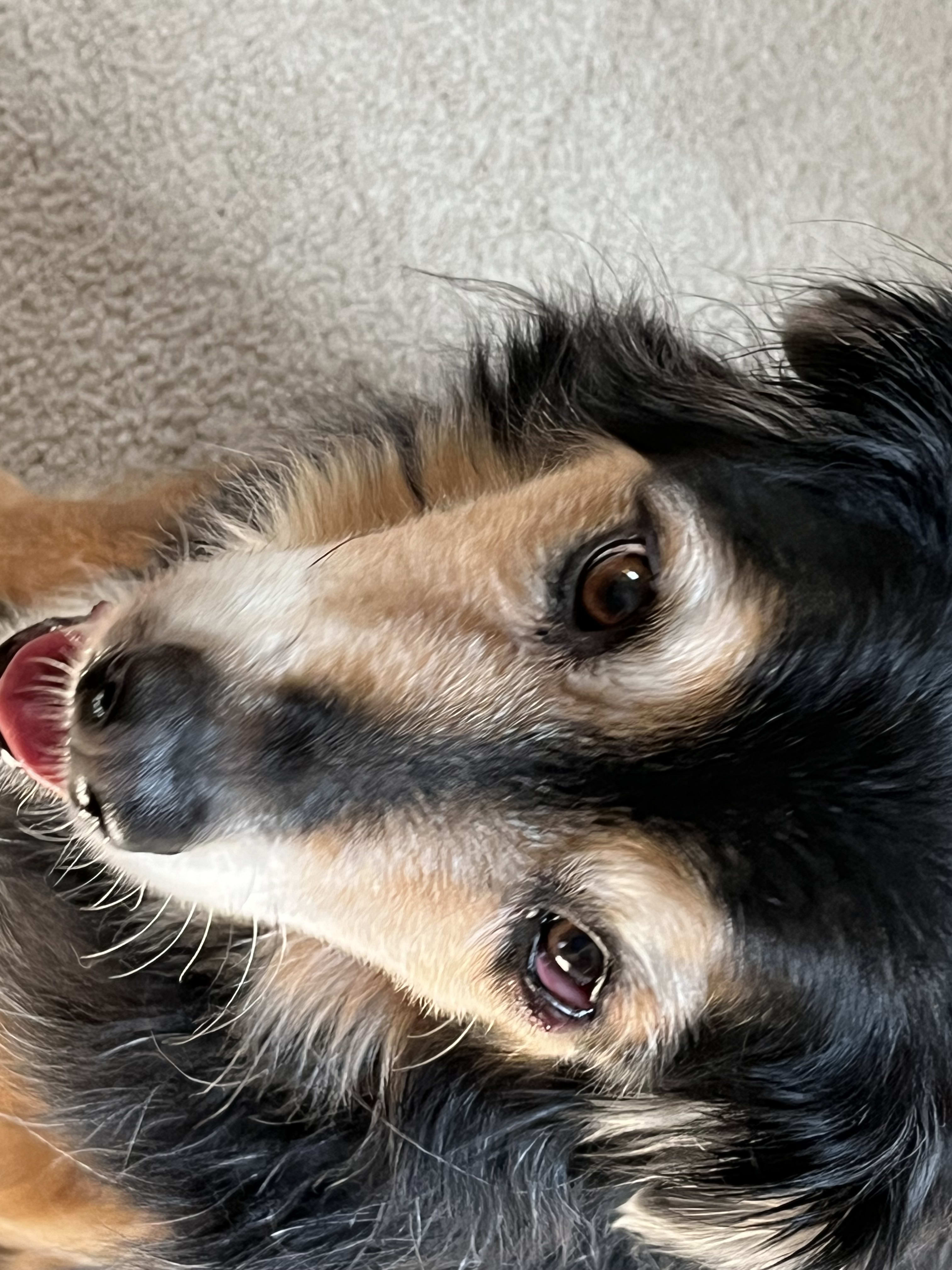 Maggie