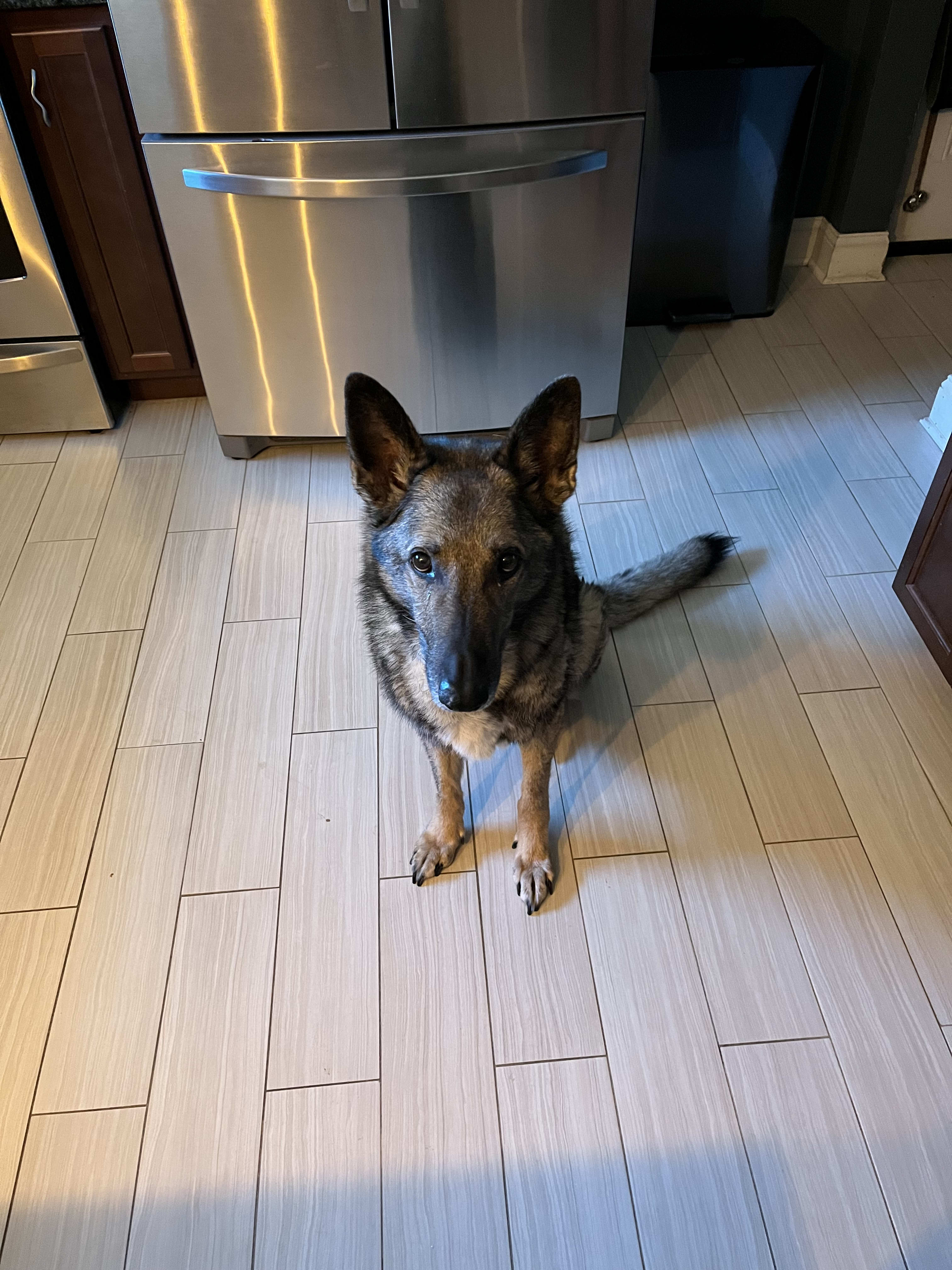 Maggie