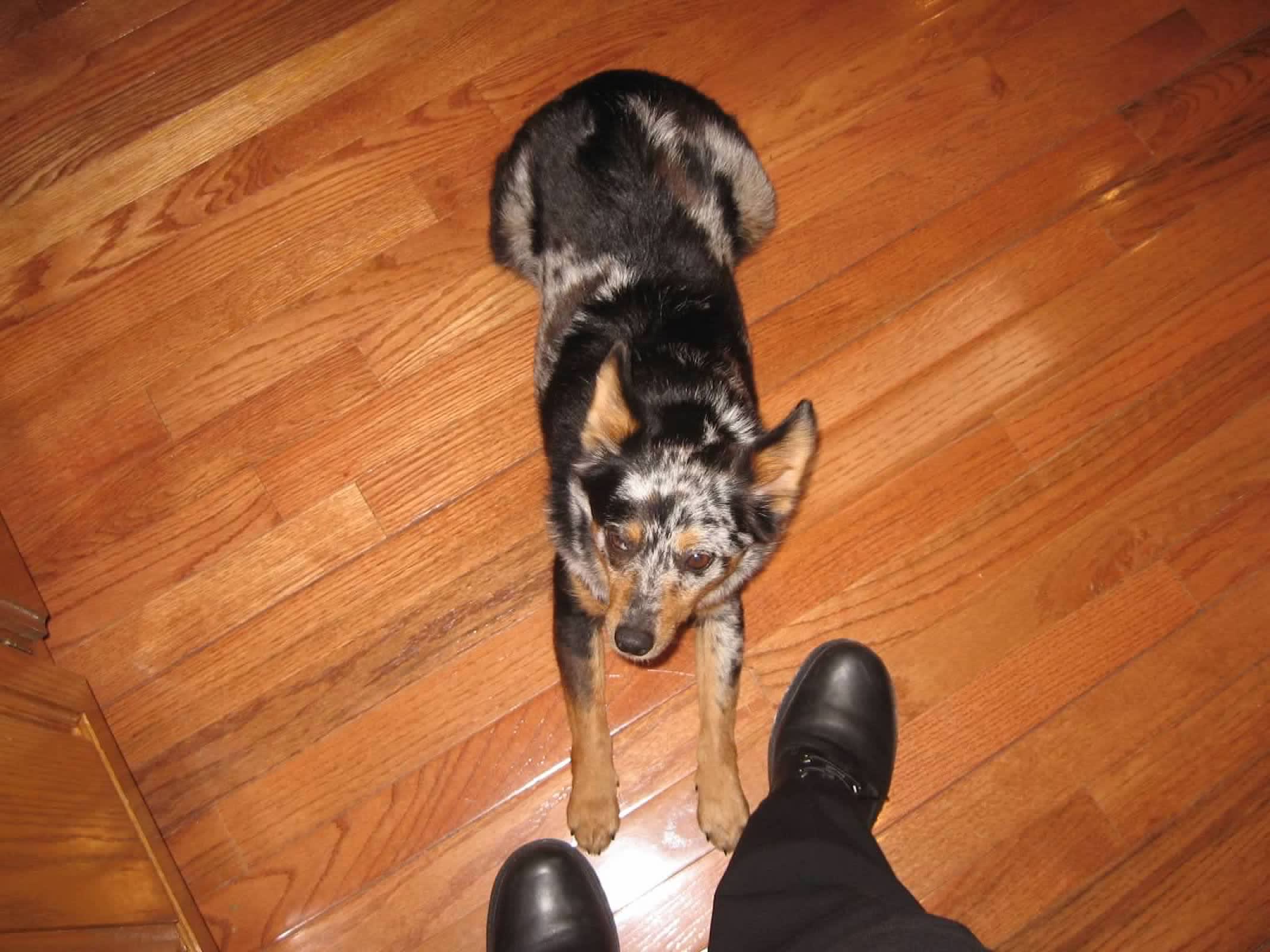 Maggie