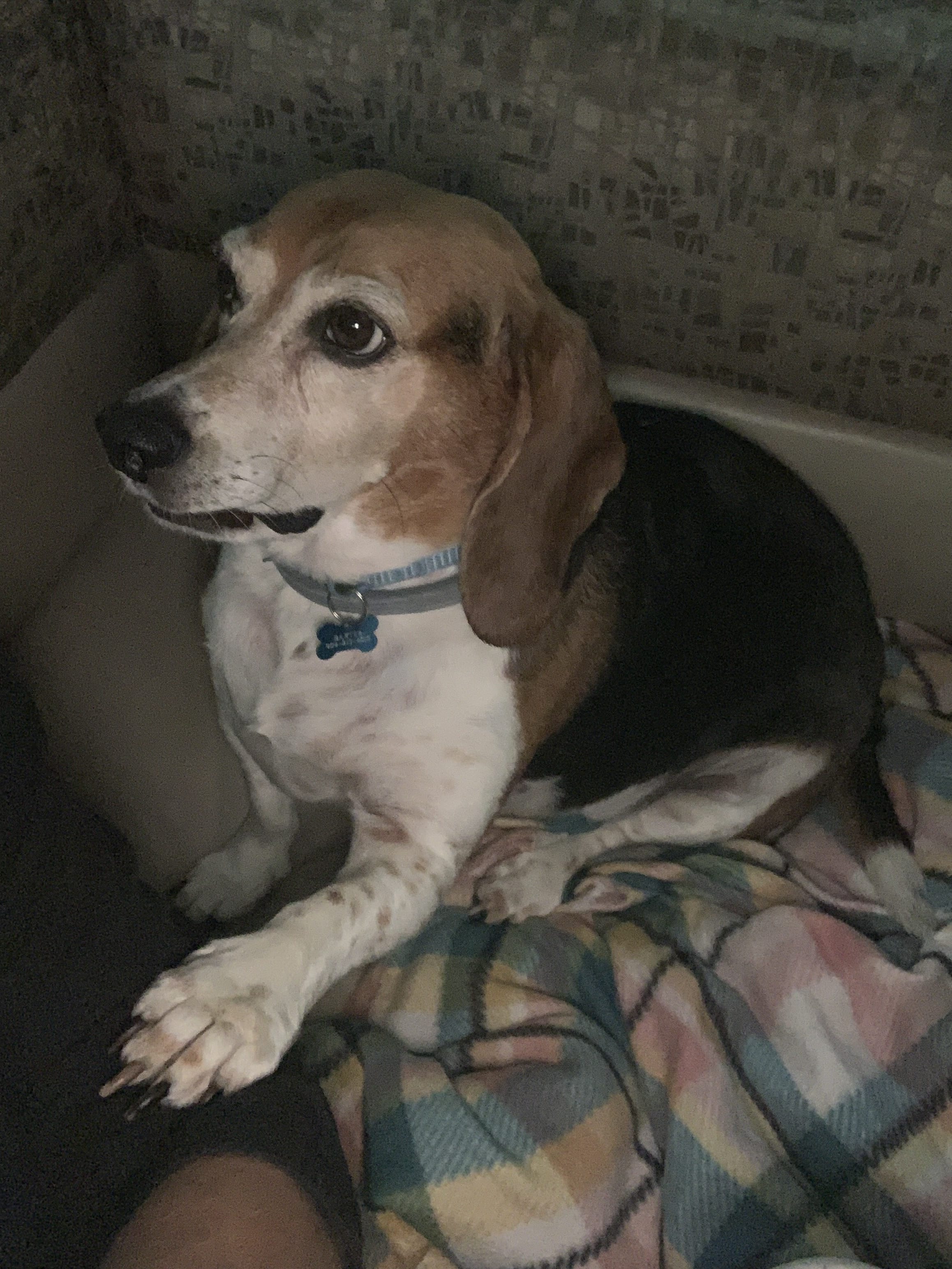 Baxter