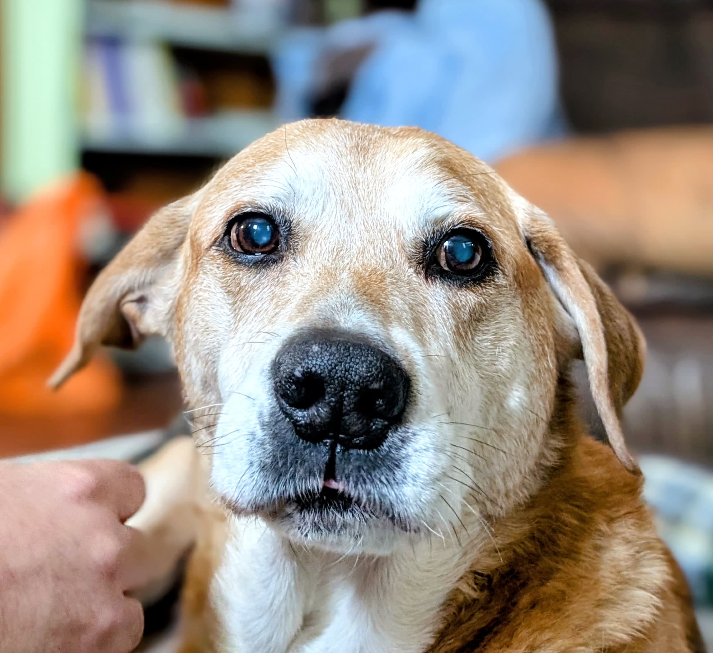 Rusty