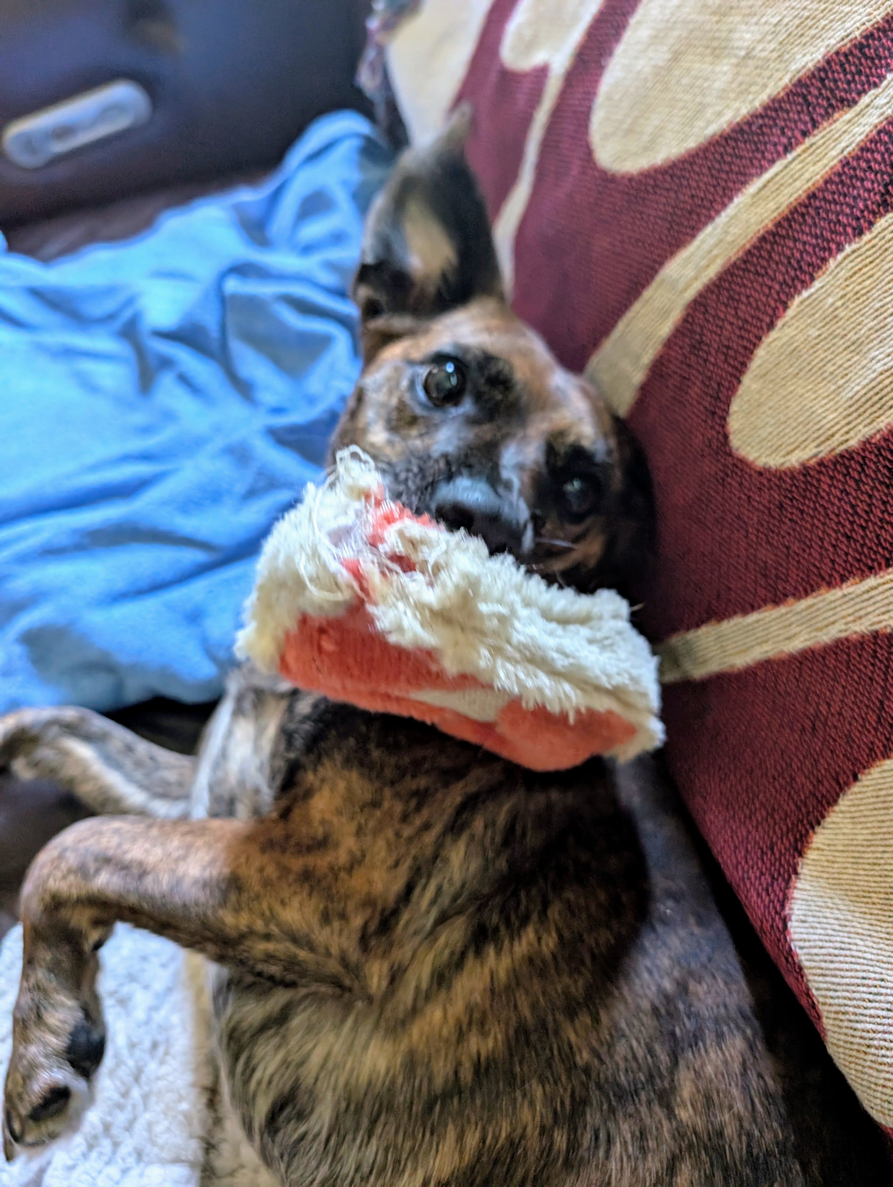 Rusty
