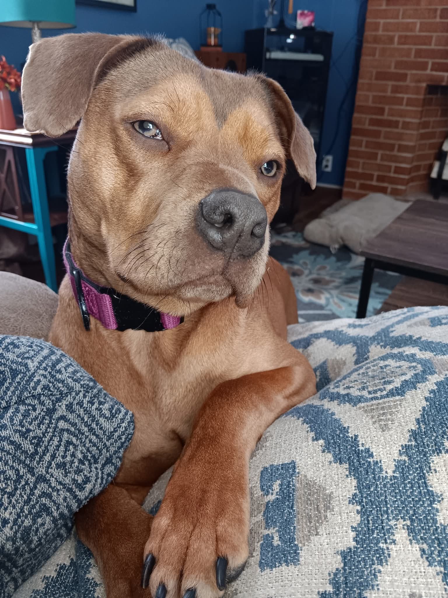 Luna Luna