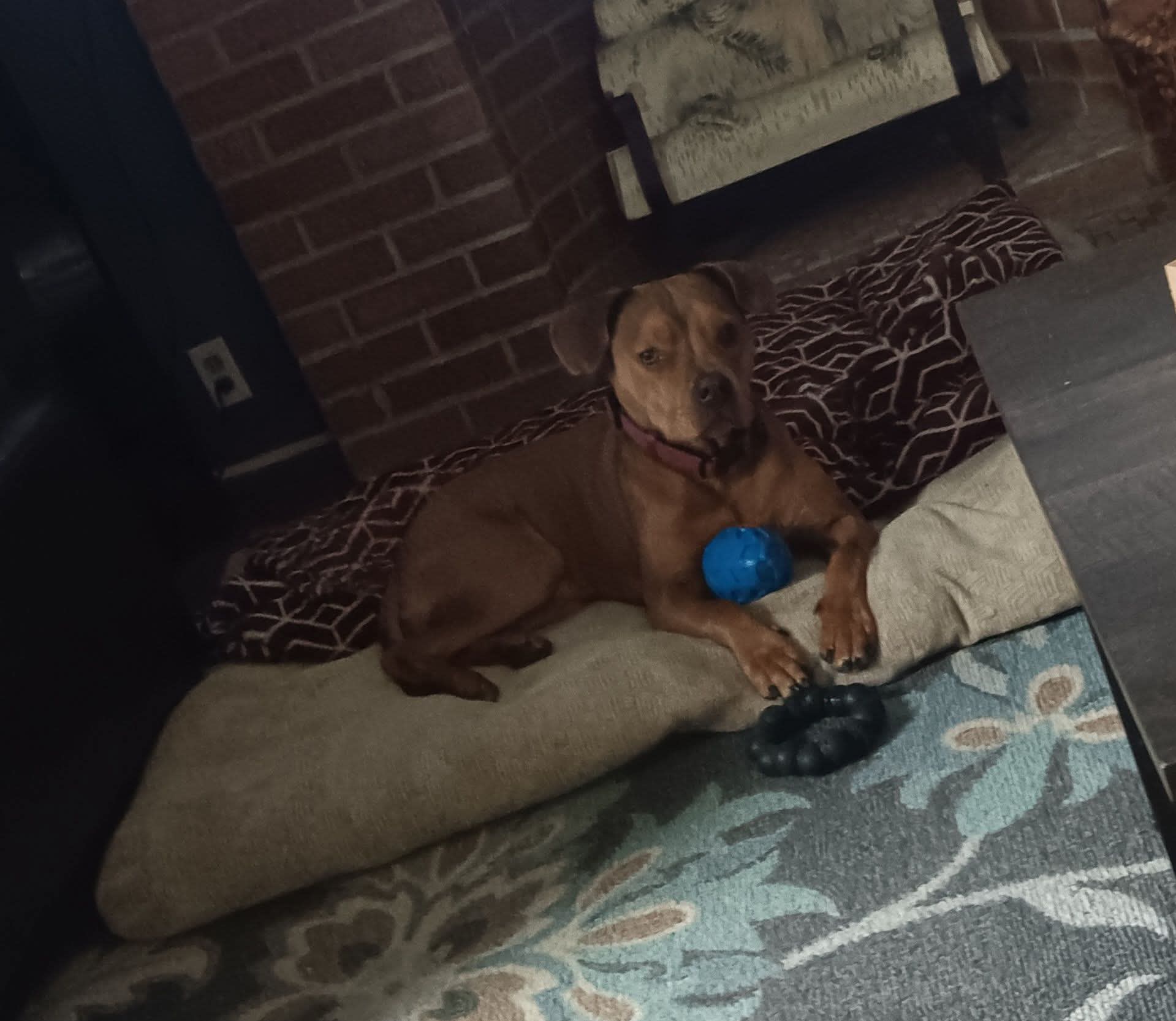 Luna Luna