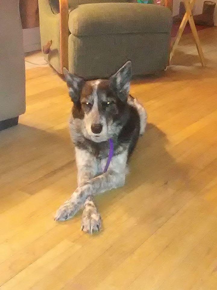 Isabel