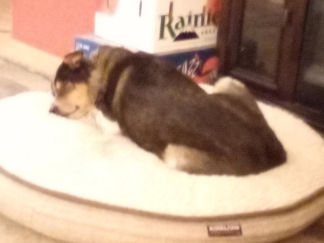 Isabel