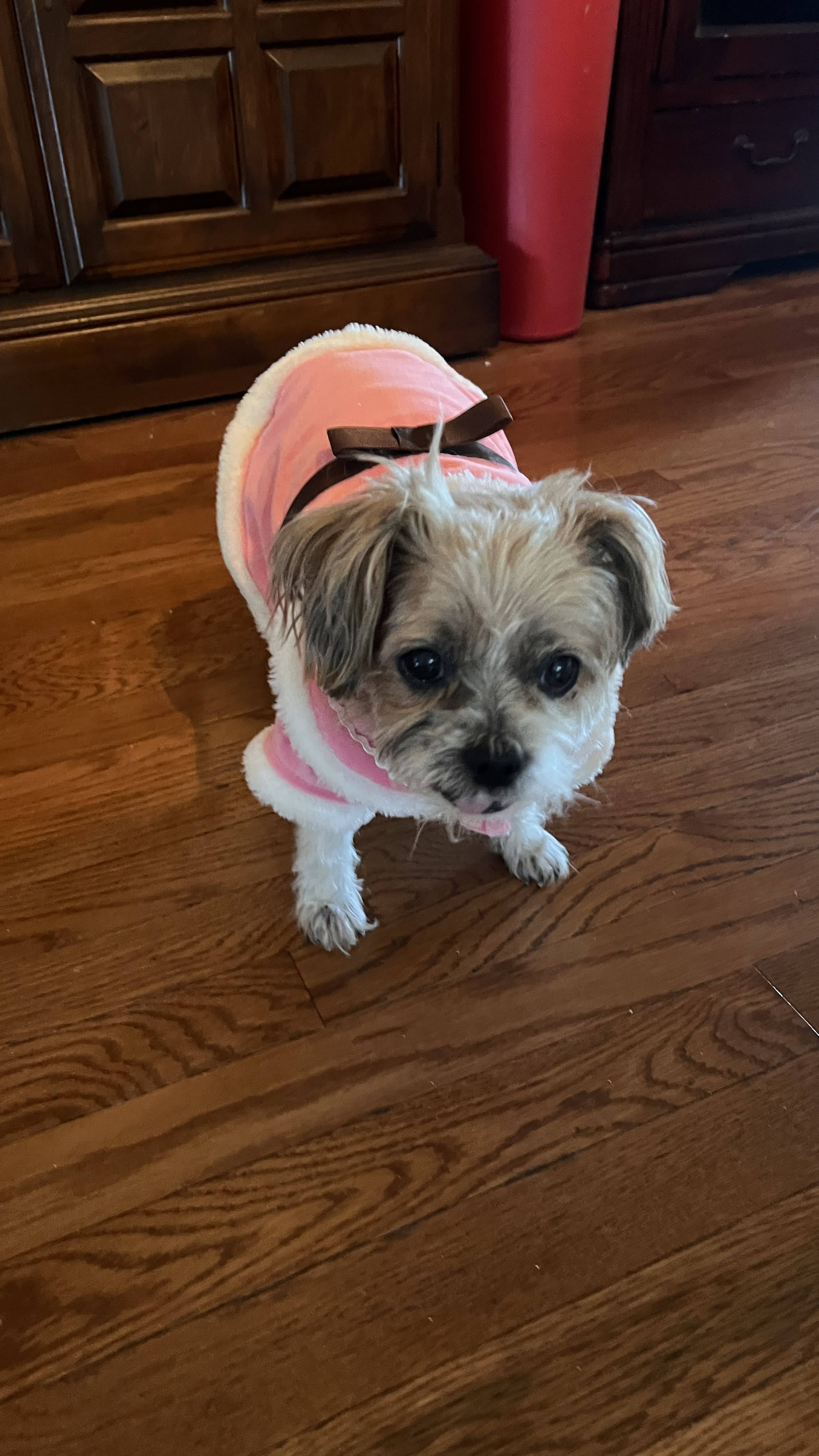 Lilly