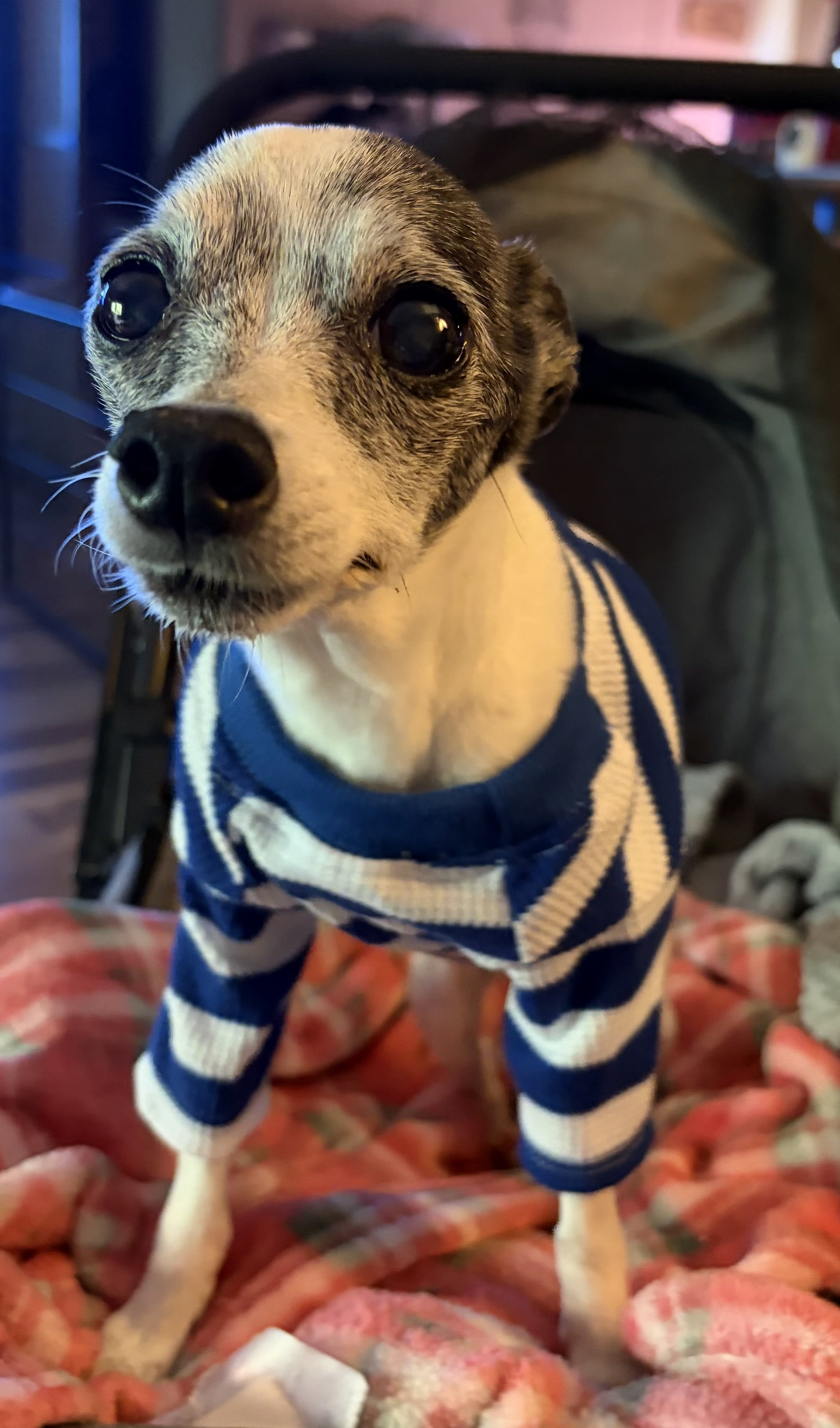 Penny