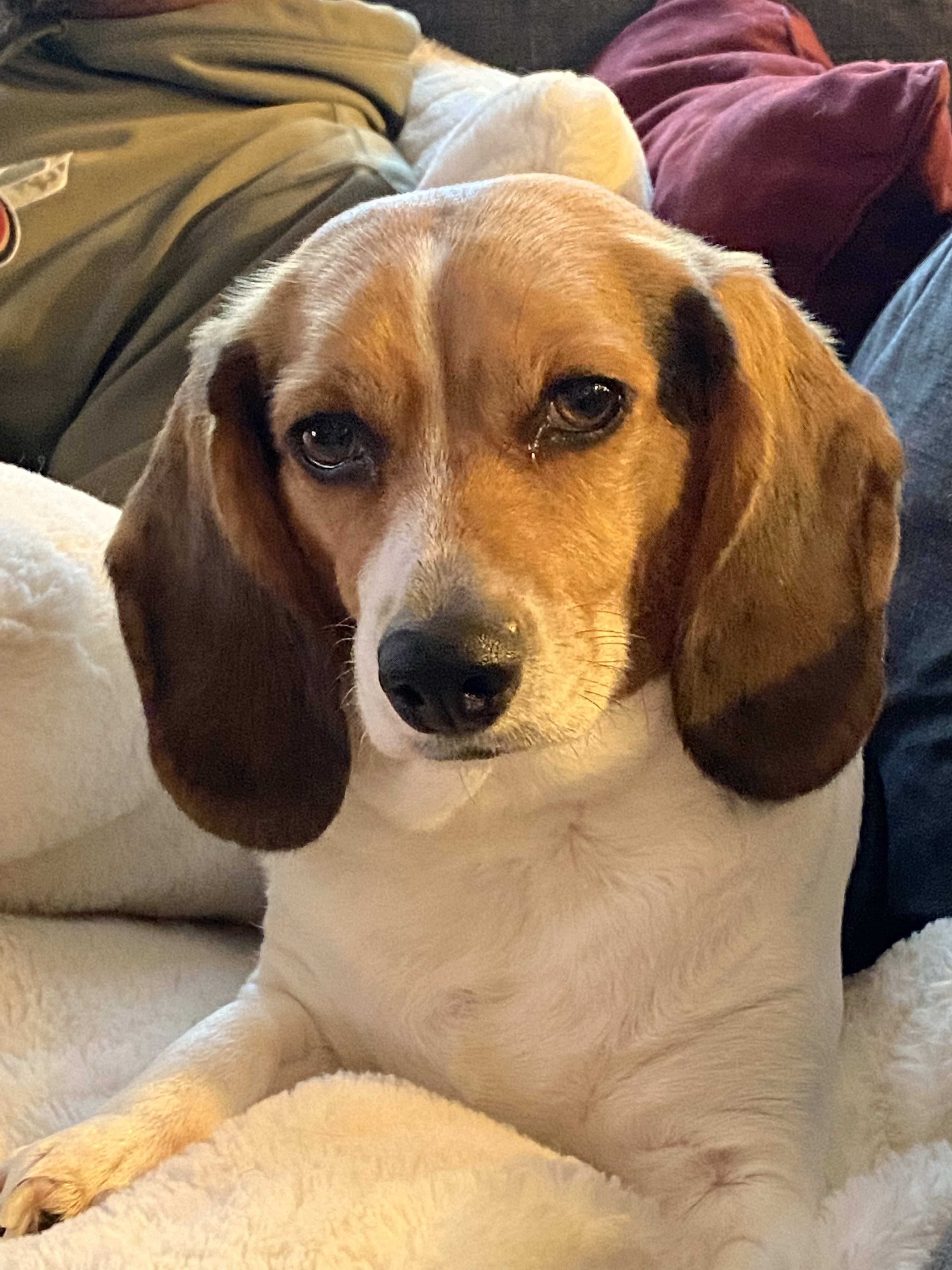 Coco