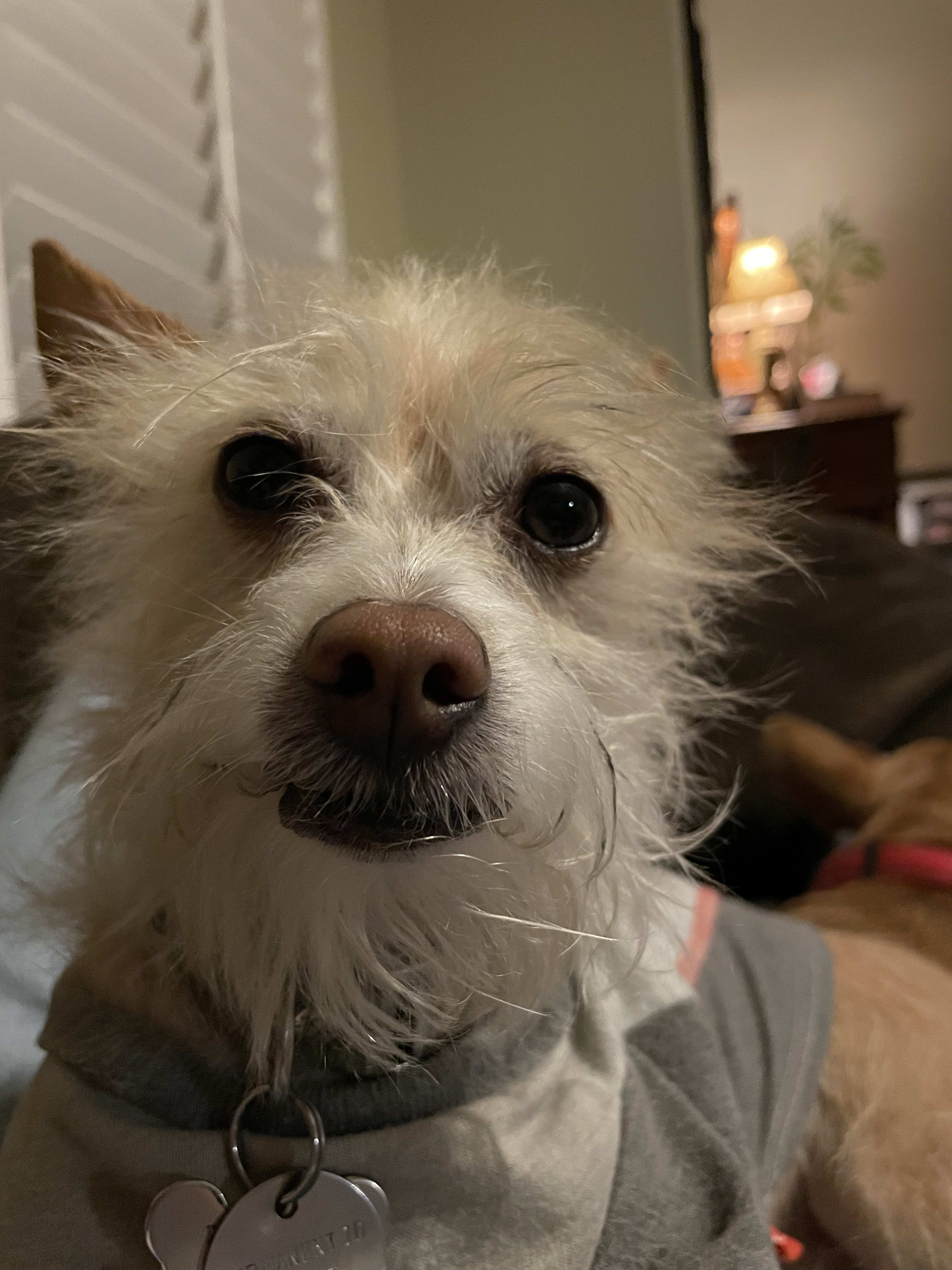 Kramer