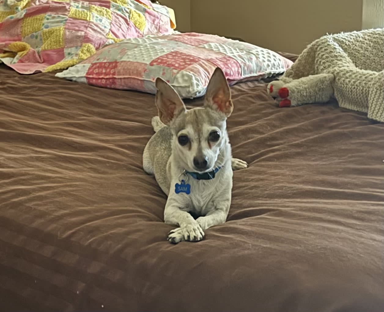 Sam  Sadie