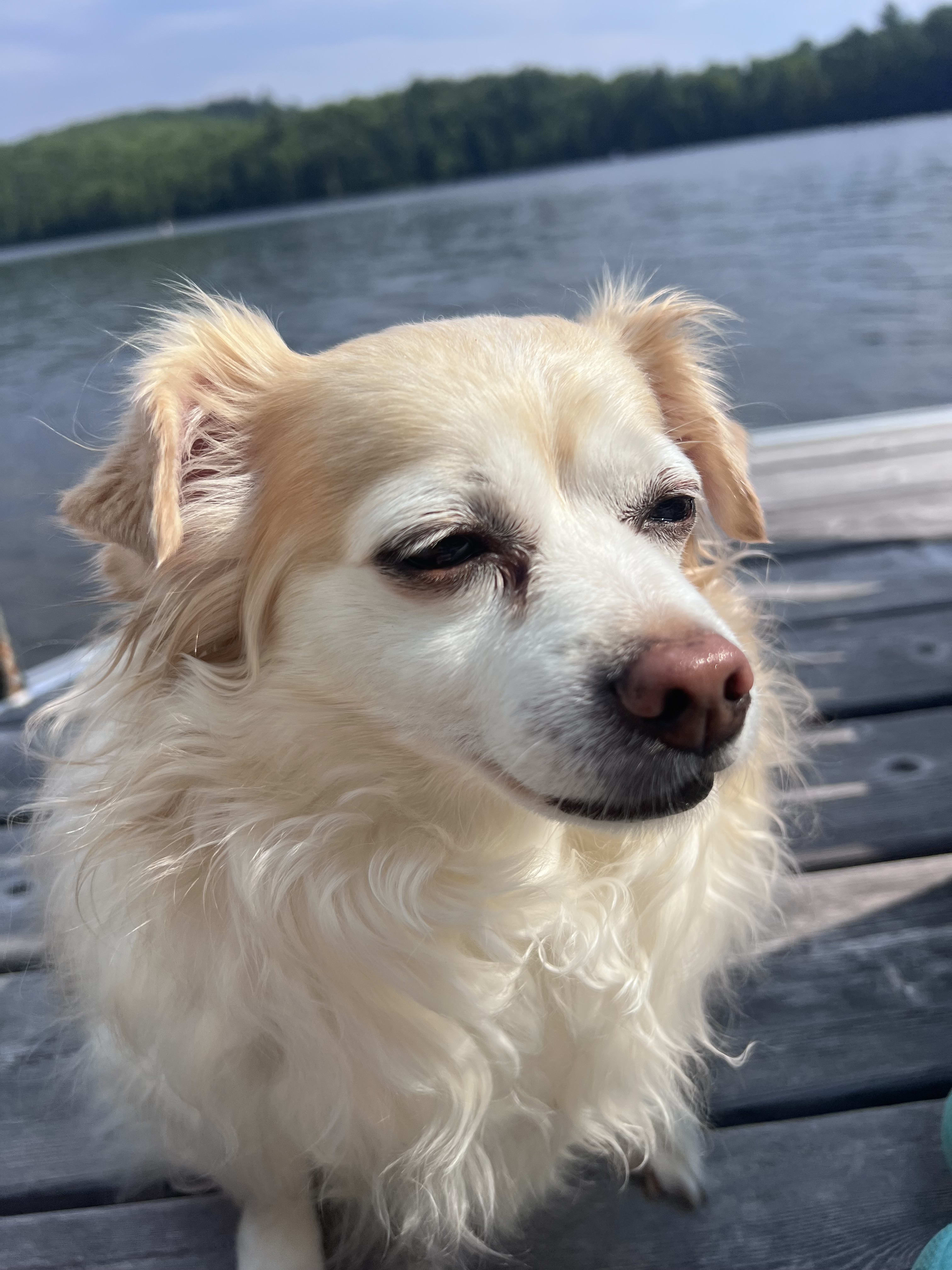 Chico