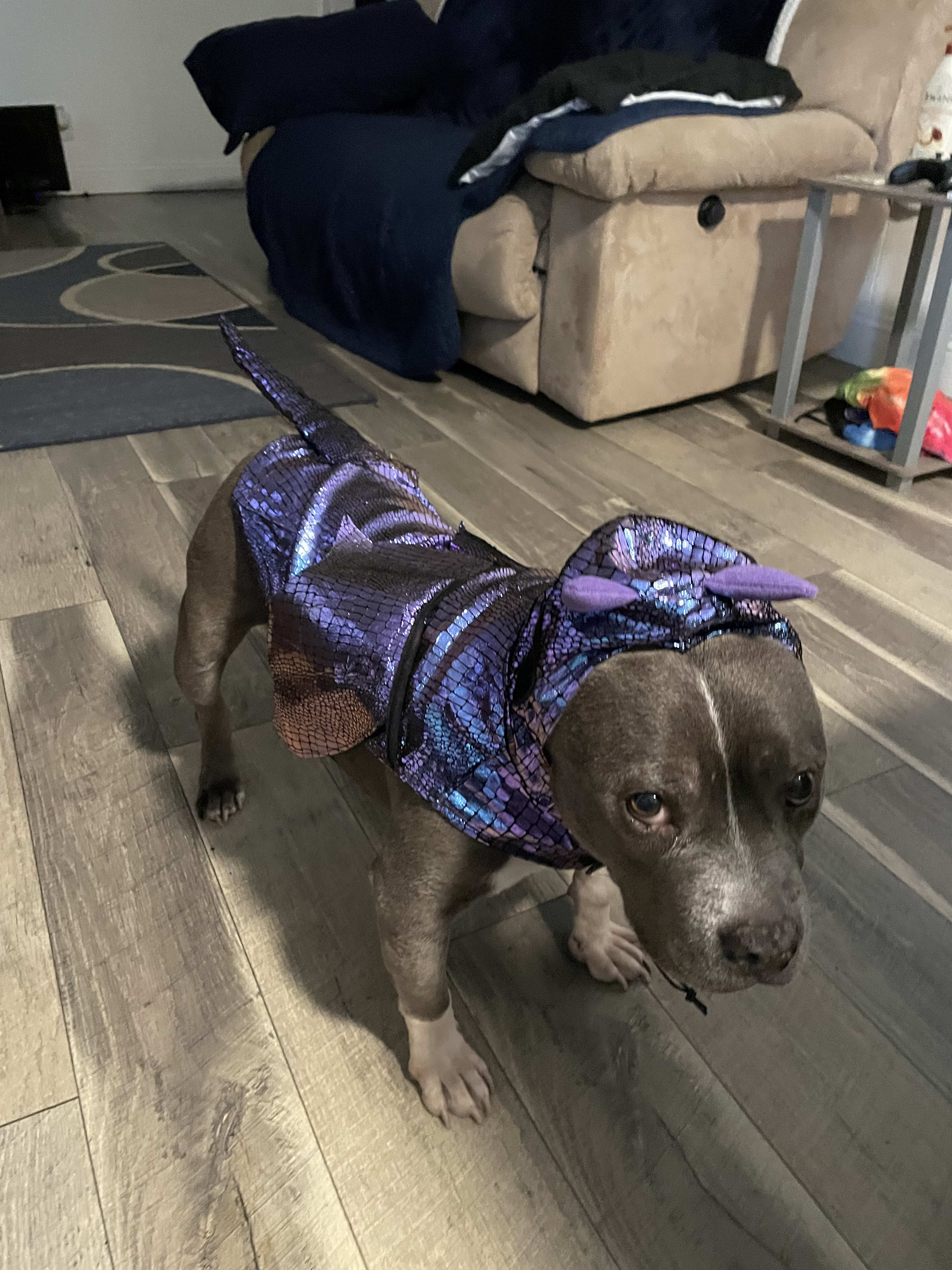 Nova