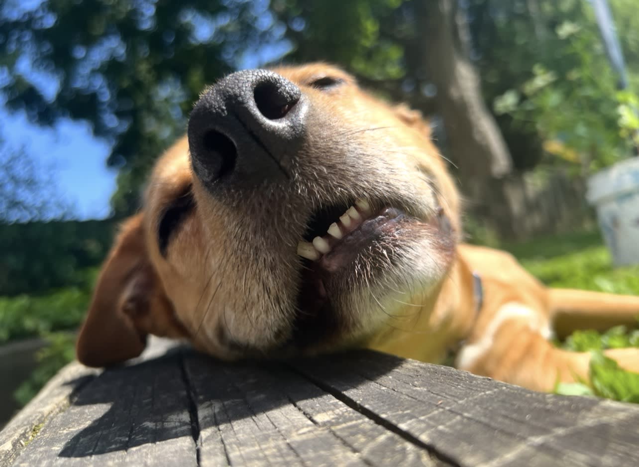 Tilly