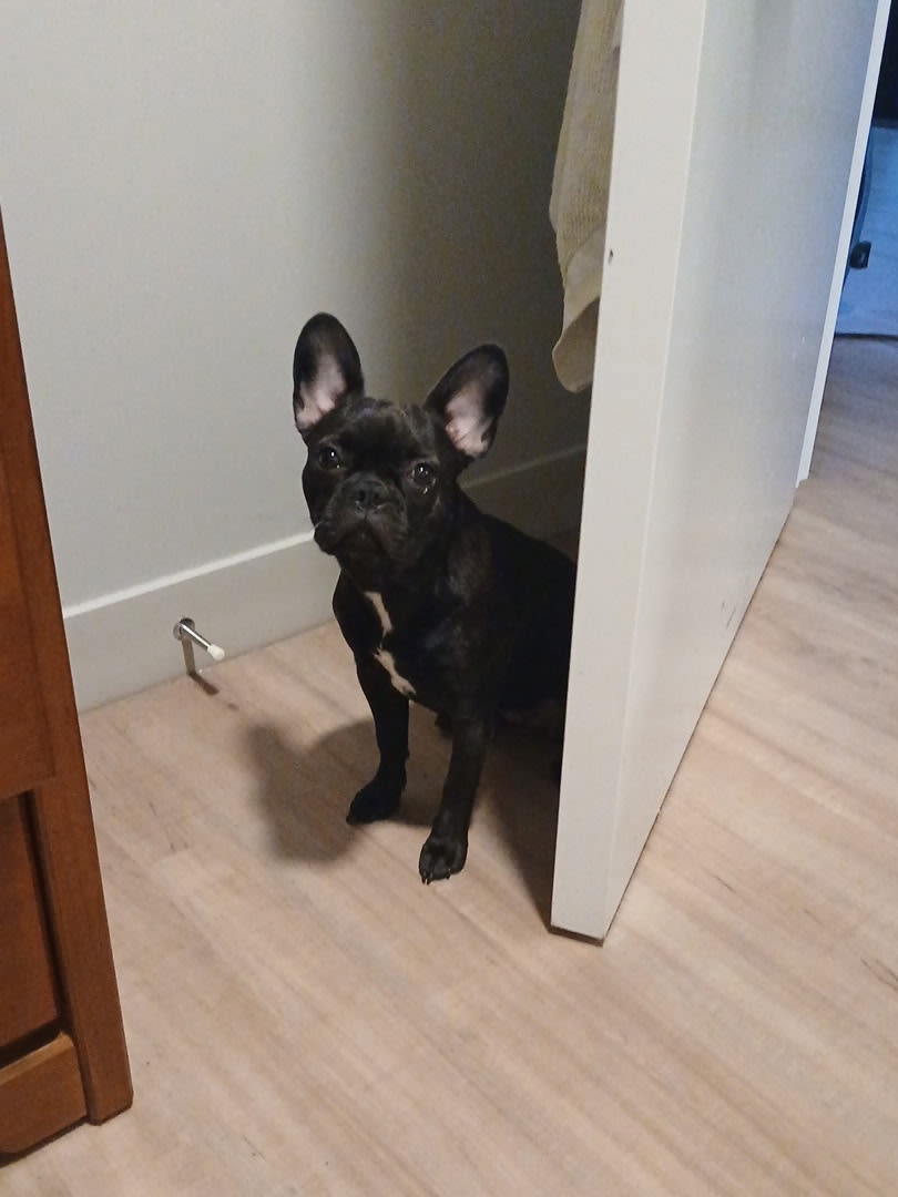 Little man