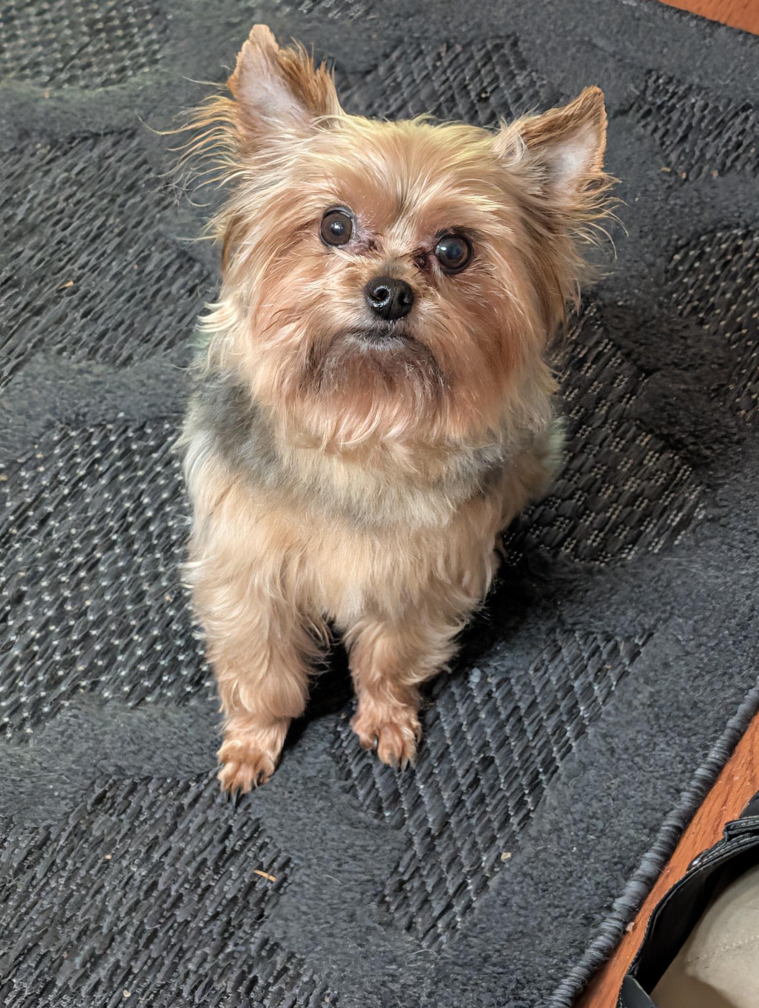 Little Jack