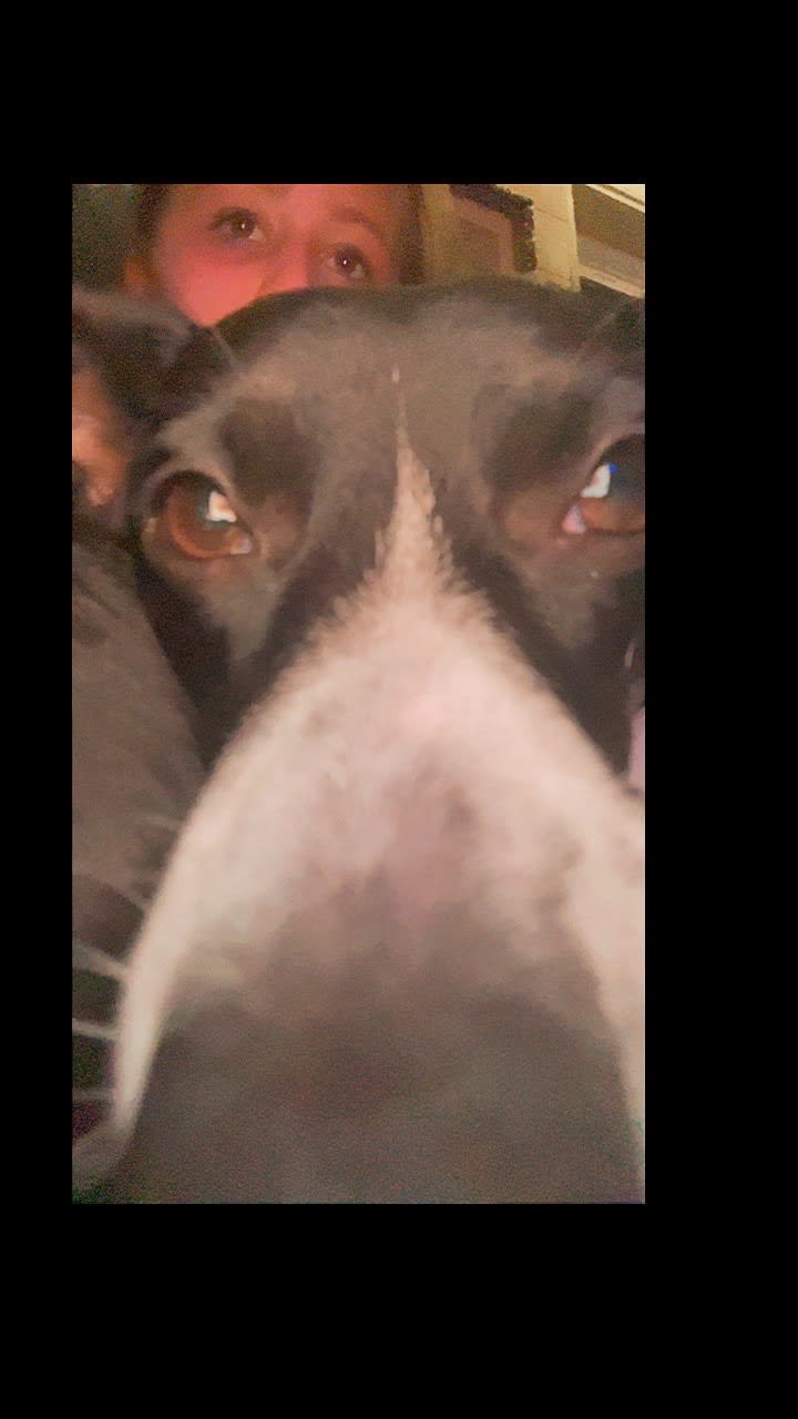 Dora