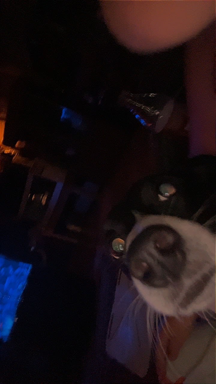 Dora
