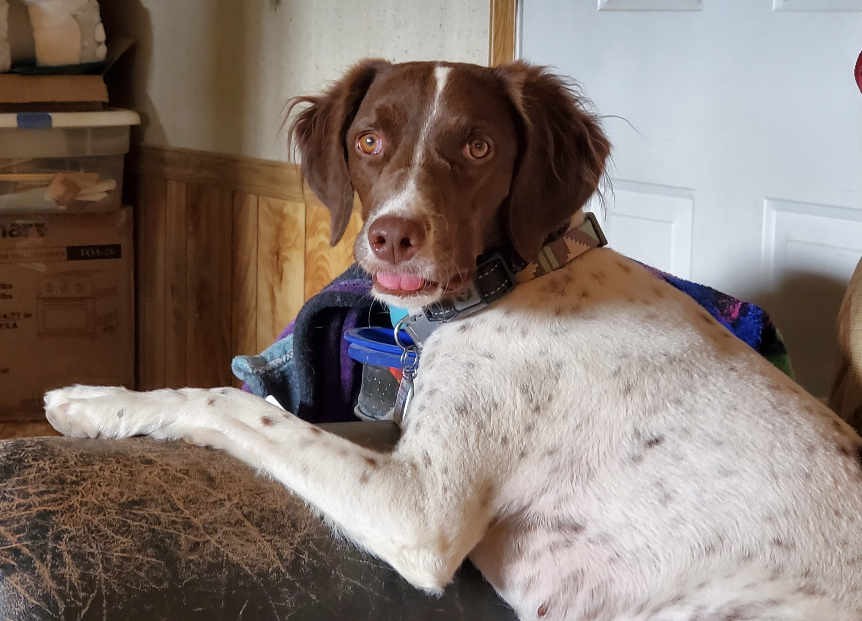 Oakley ButterBean