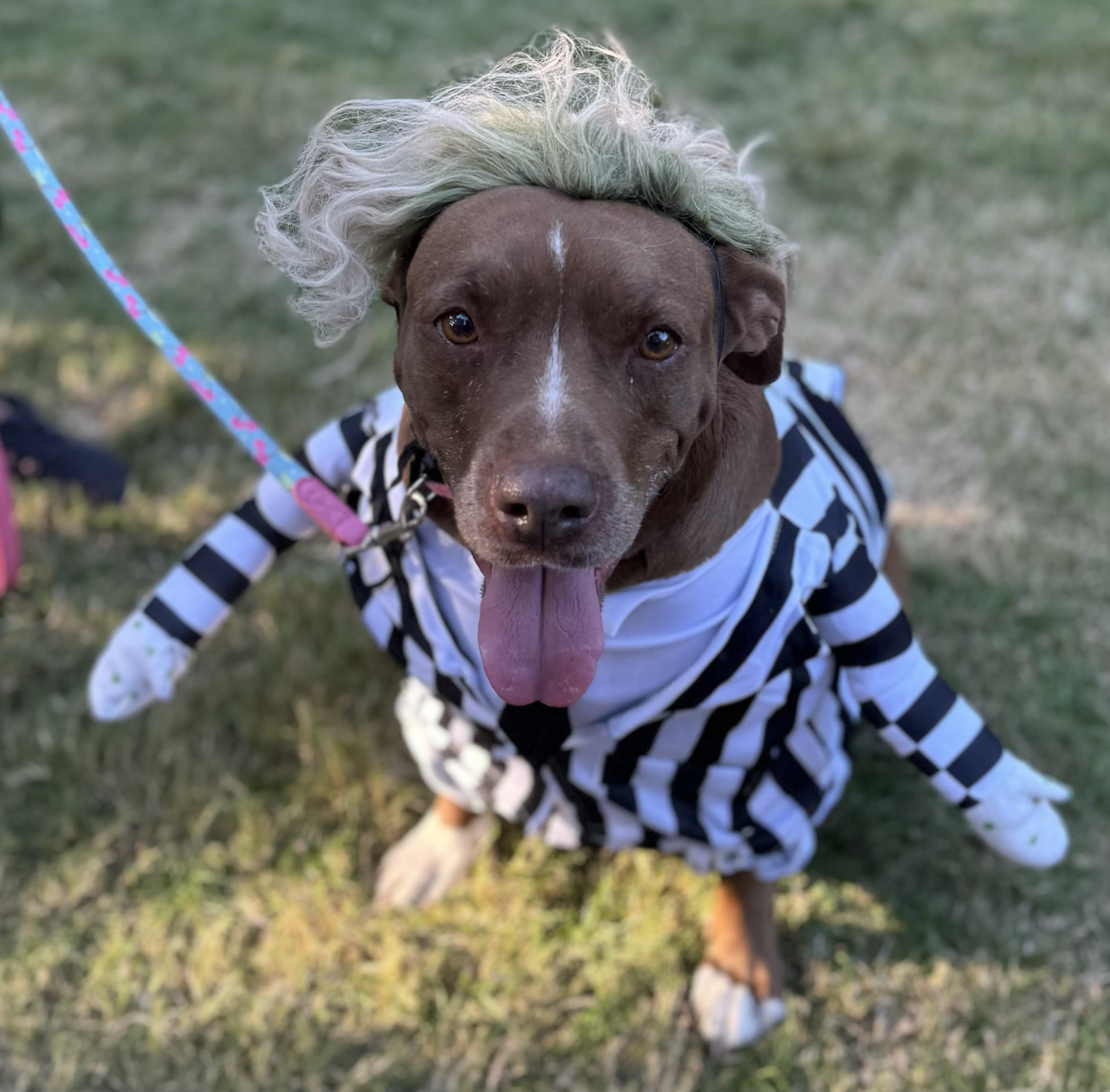 Bree Bree