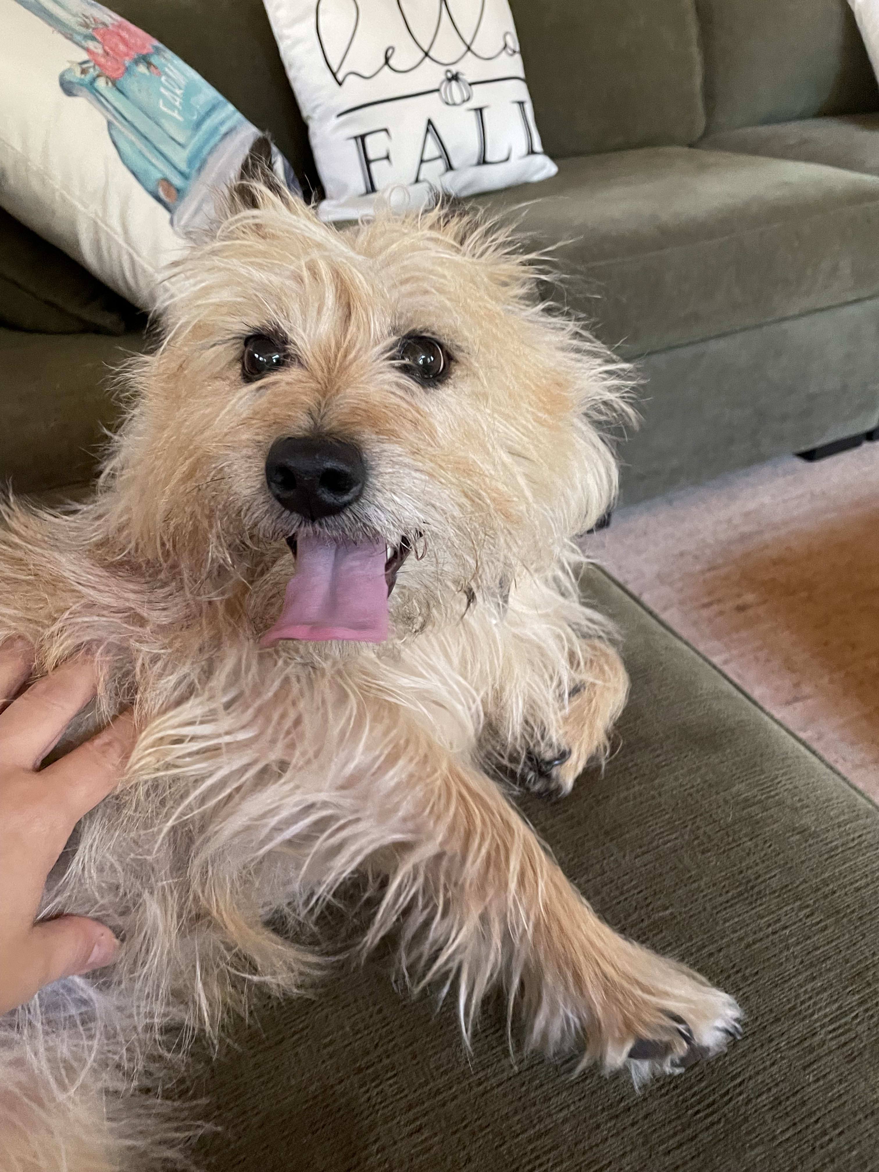 Chloe