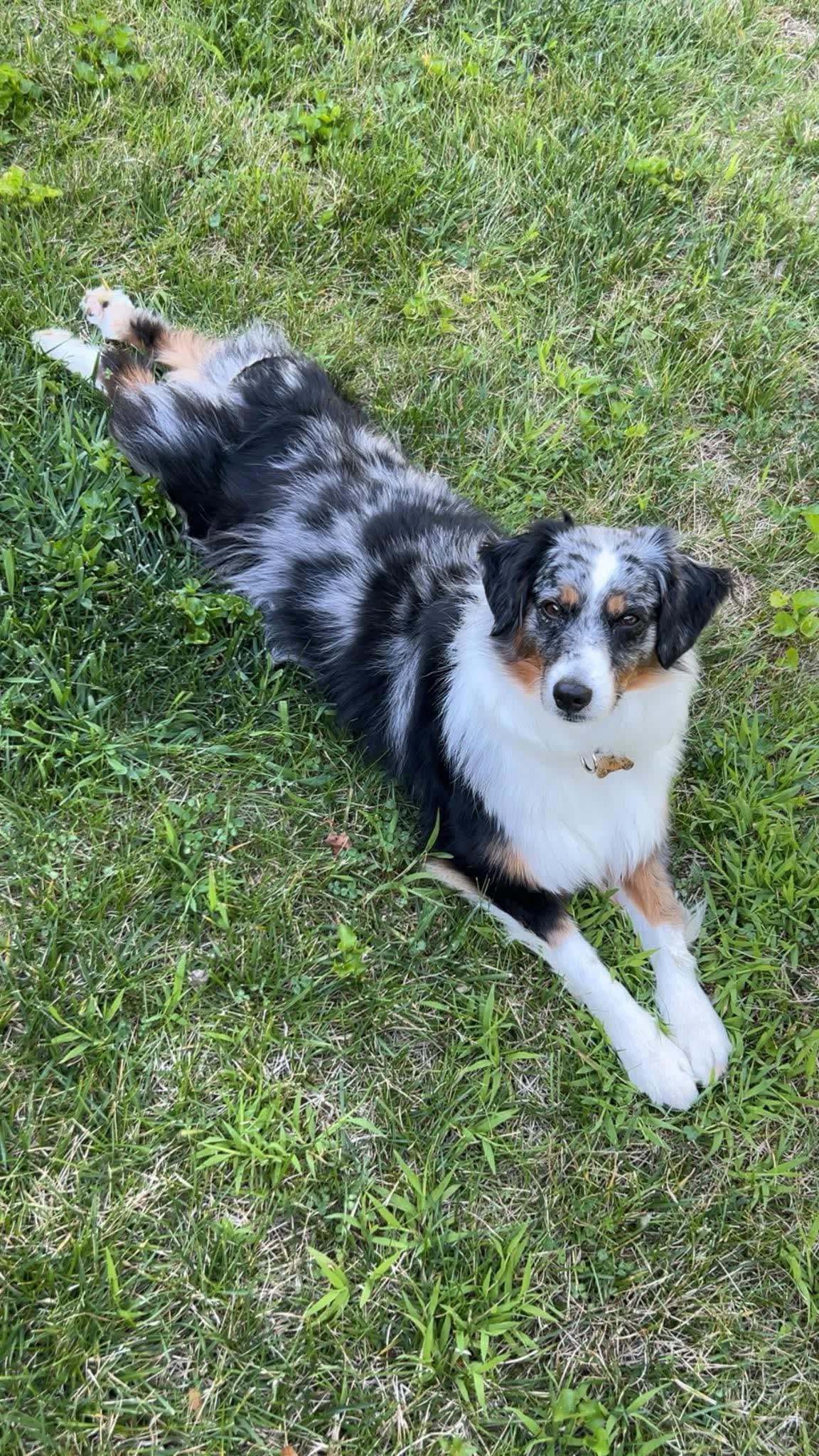 Millie Millie