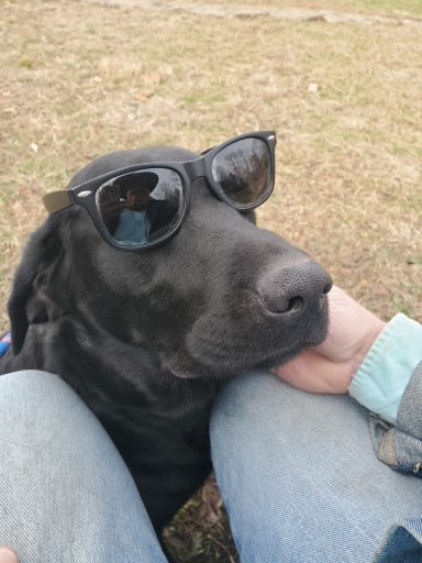 Rosie