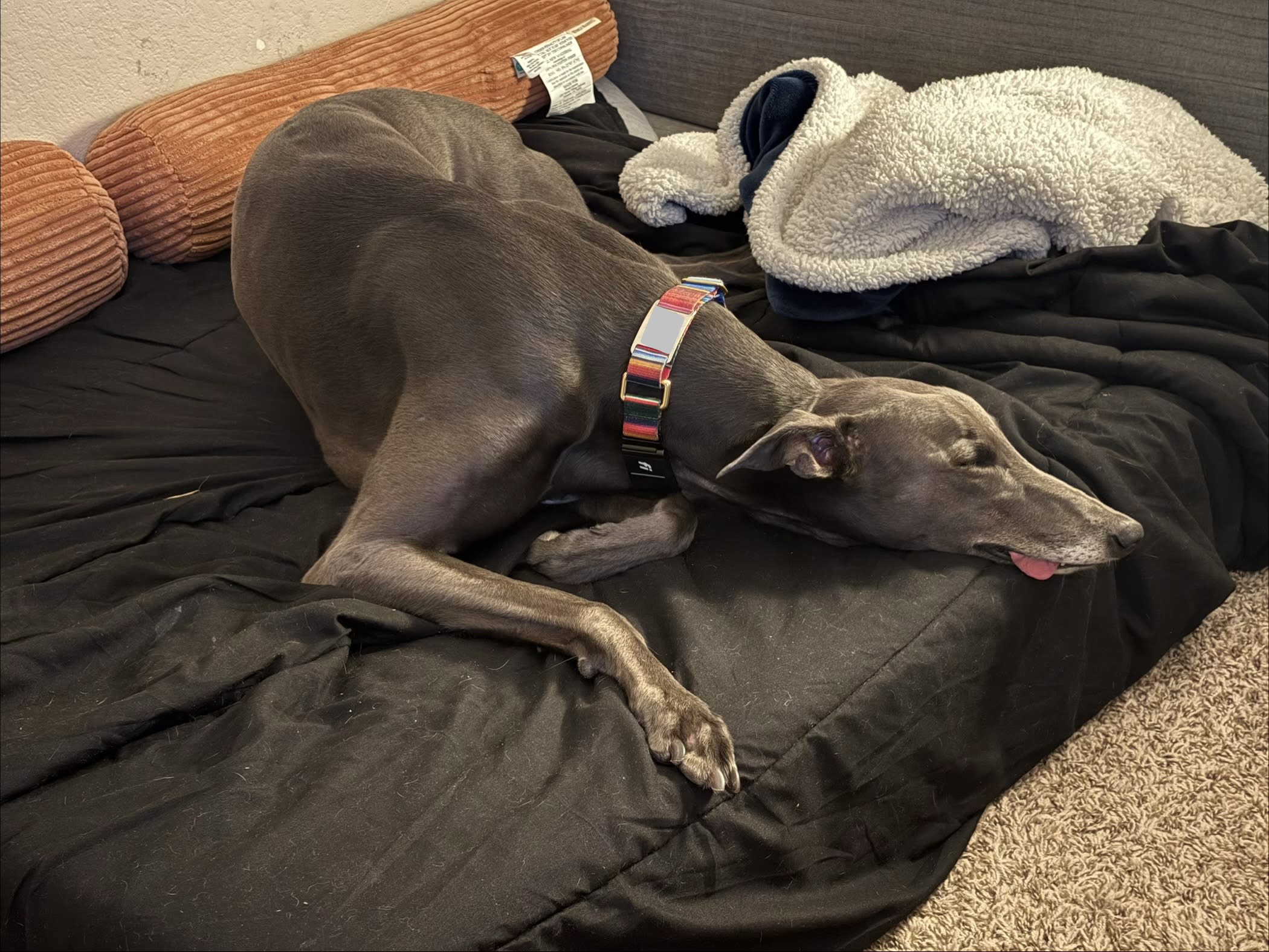 Sam