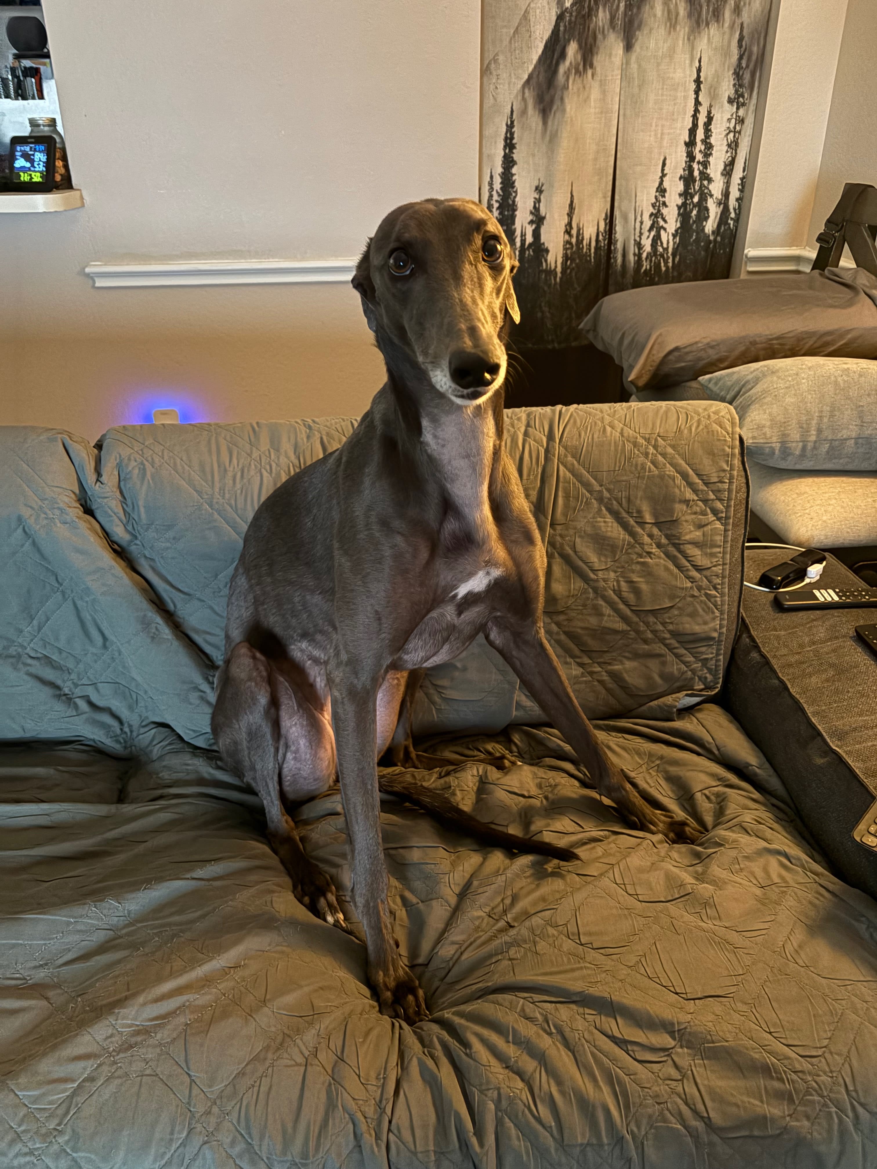 Sam