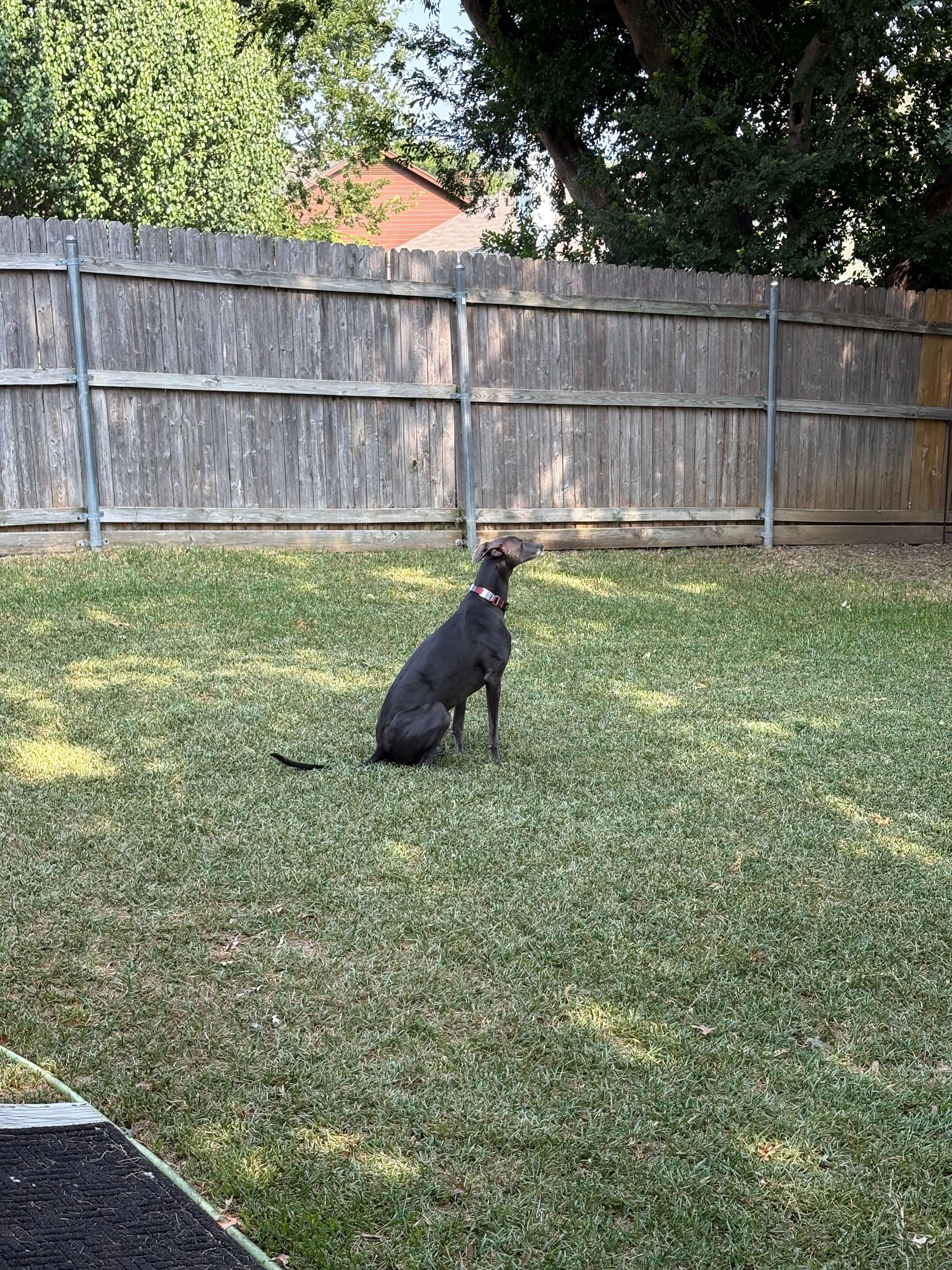 Sam