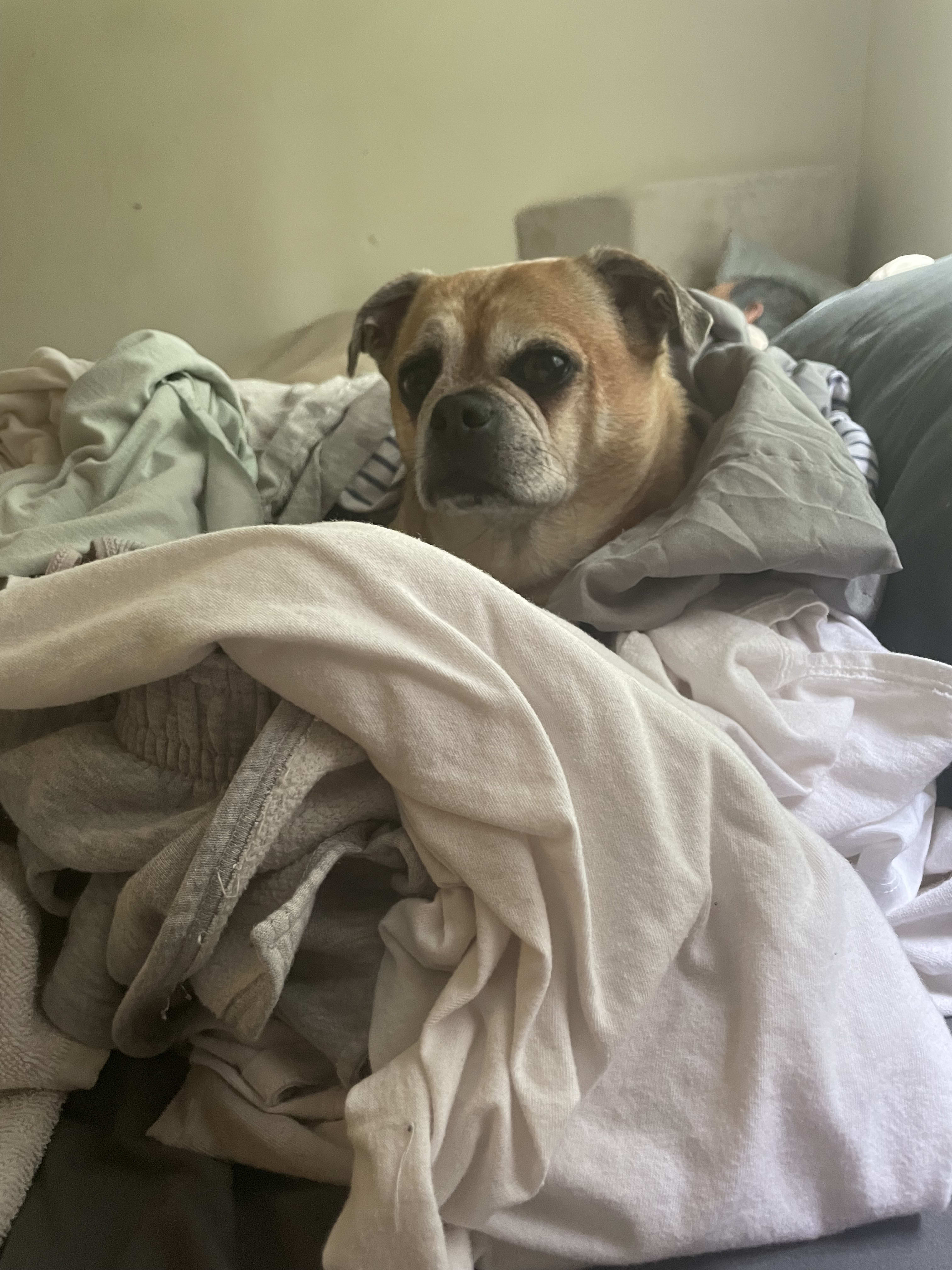 Max