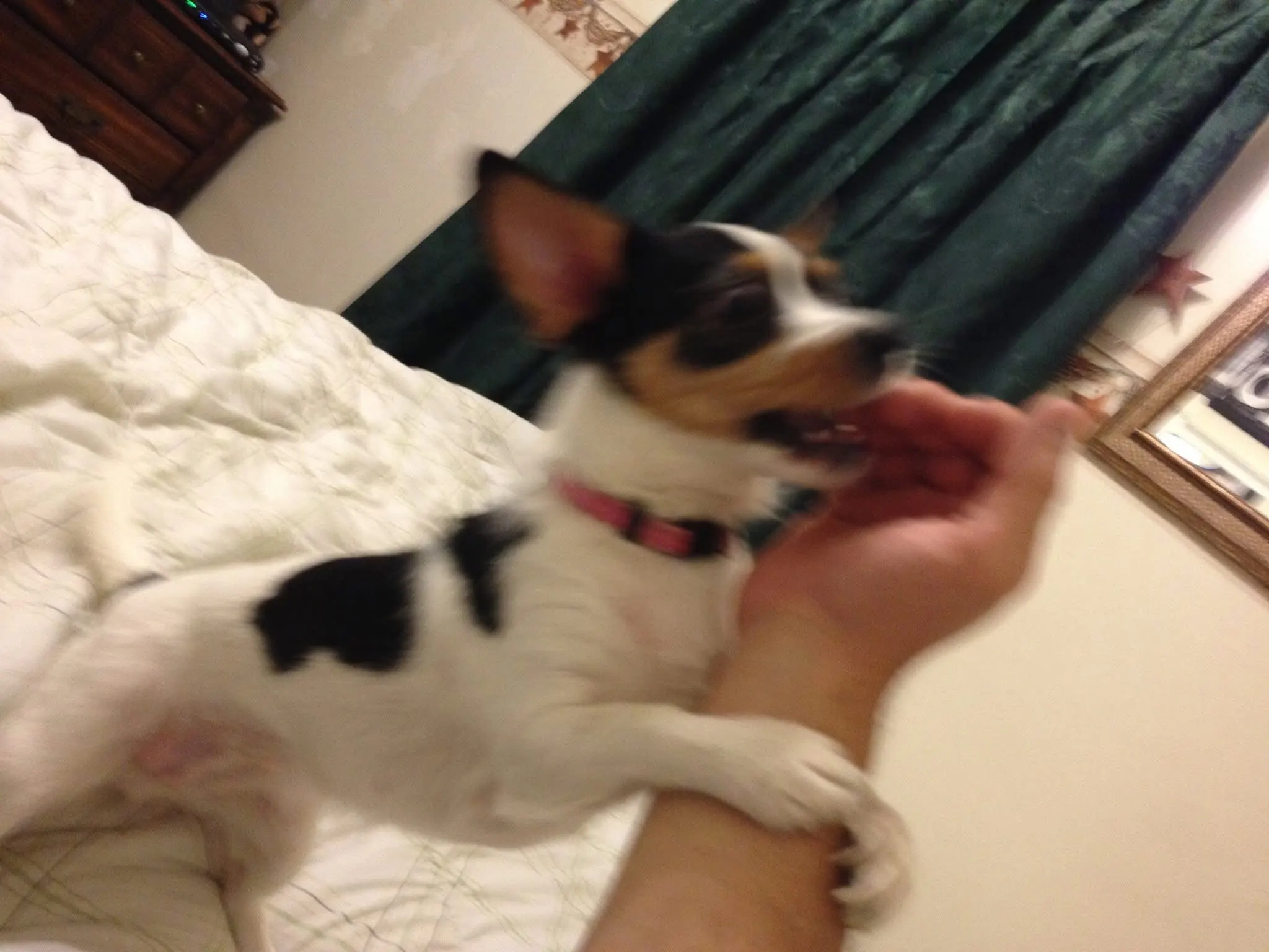 Picky