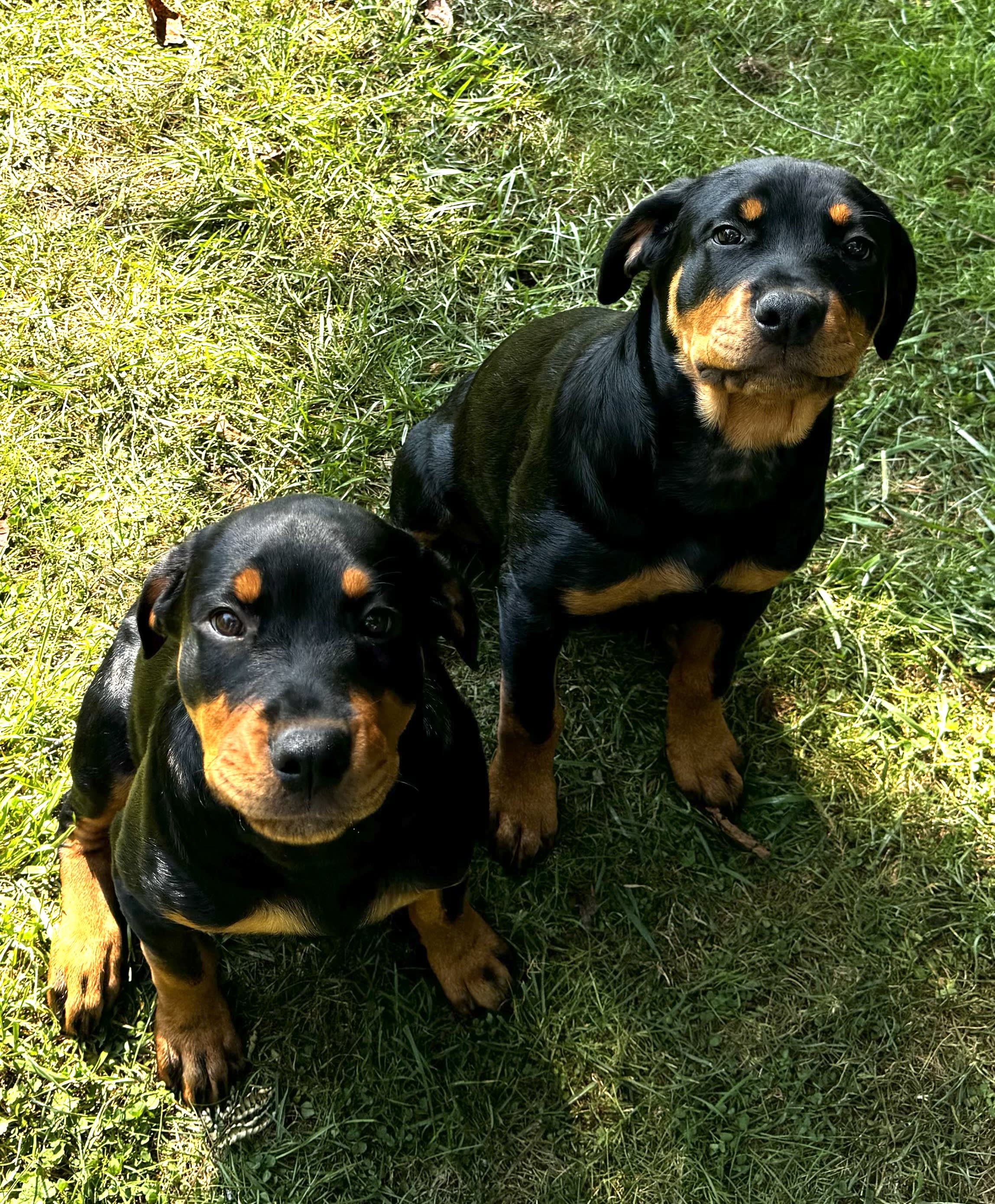 Emma and Hope