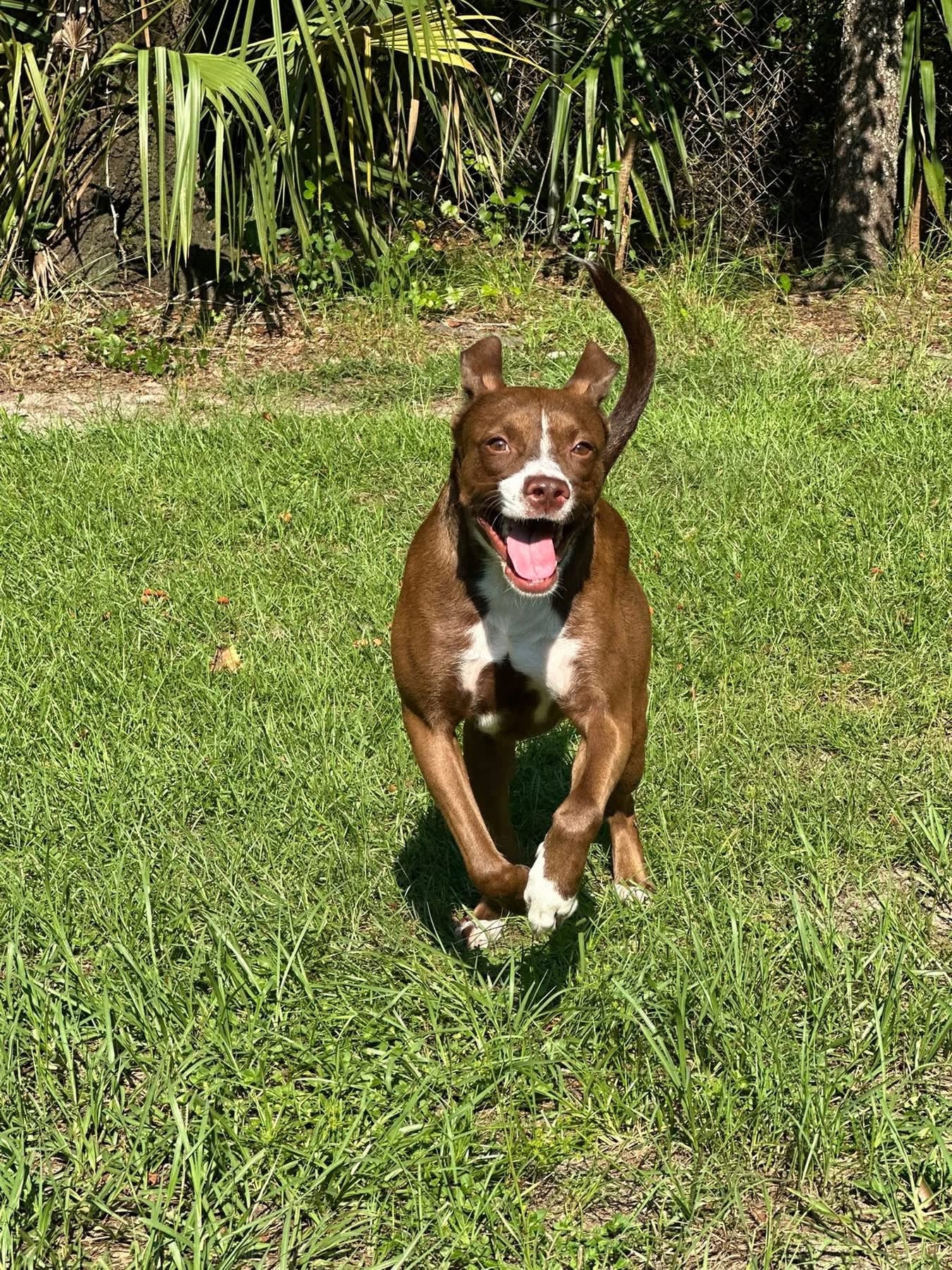 Buford Buford