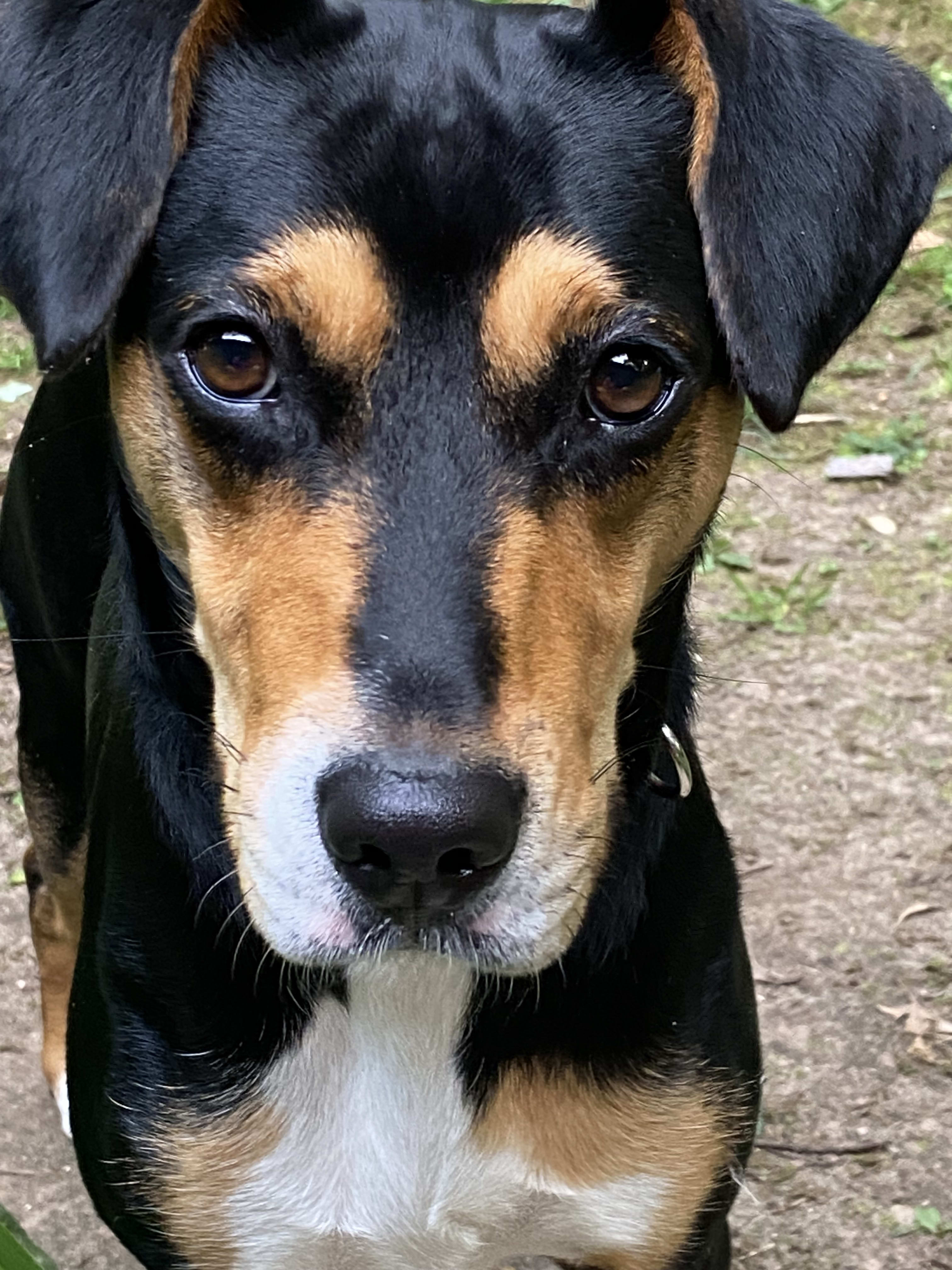 Thelma