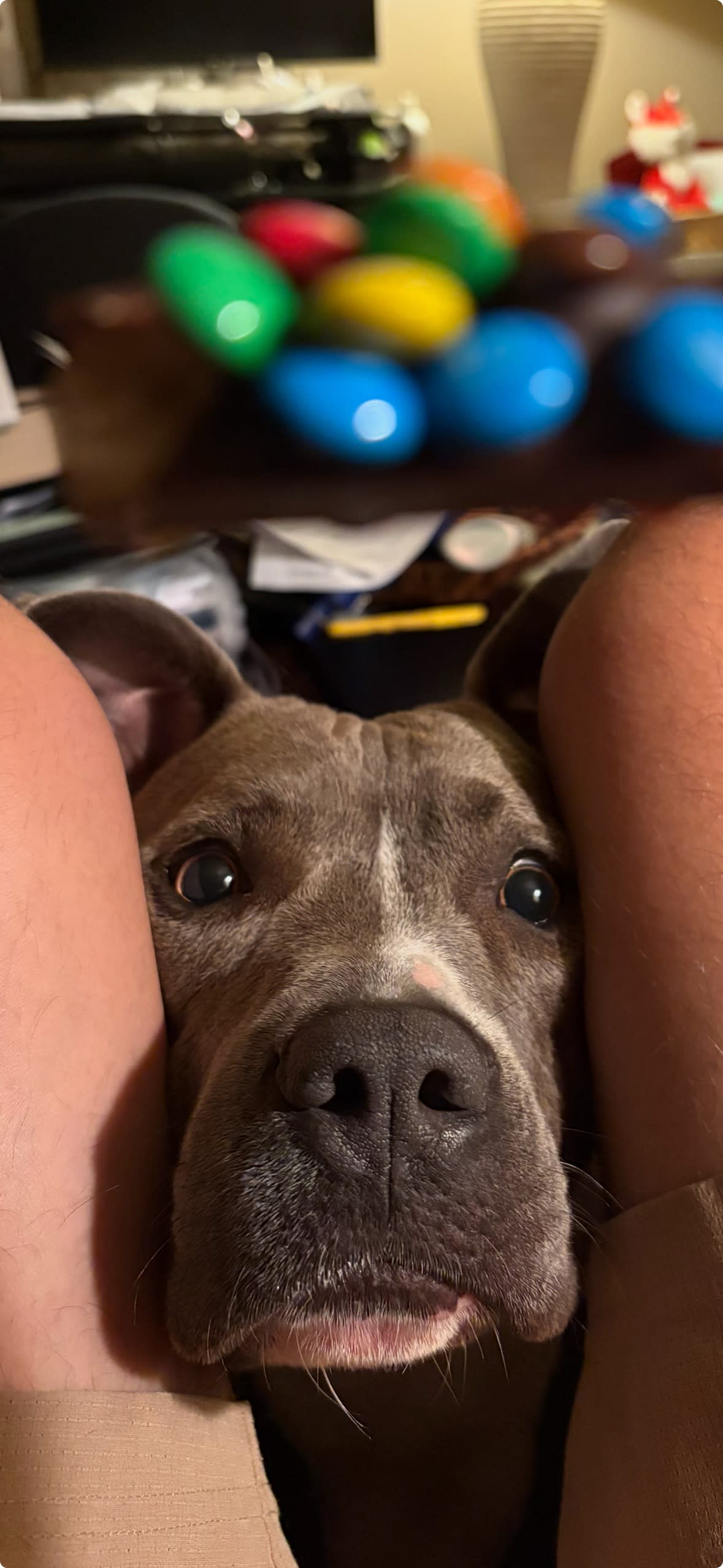Lucy